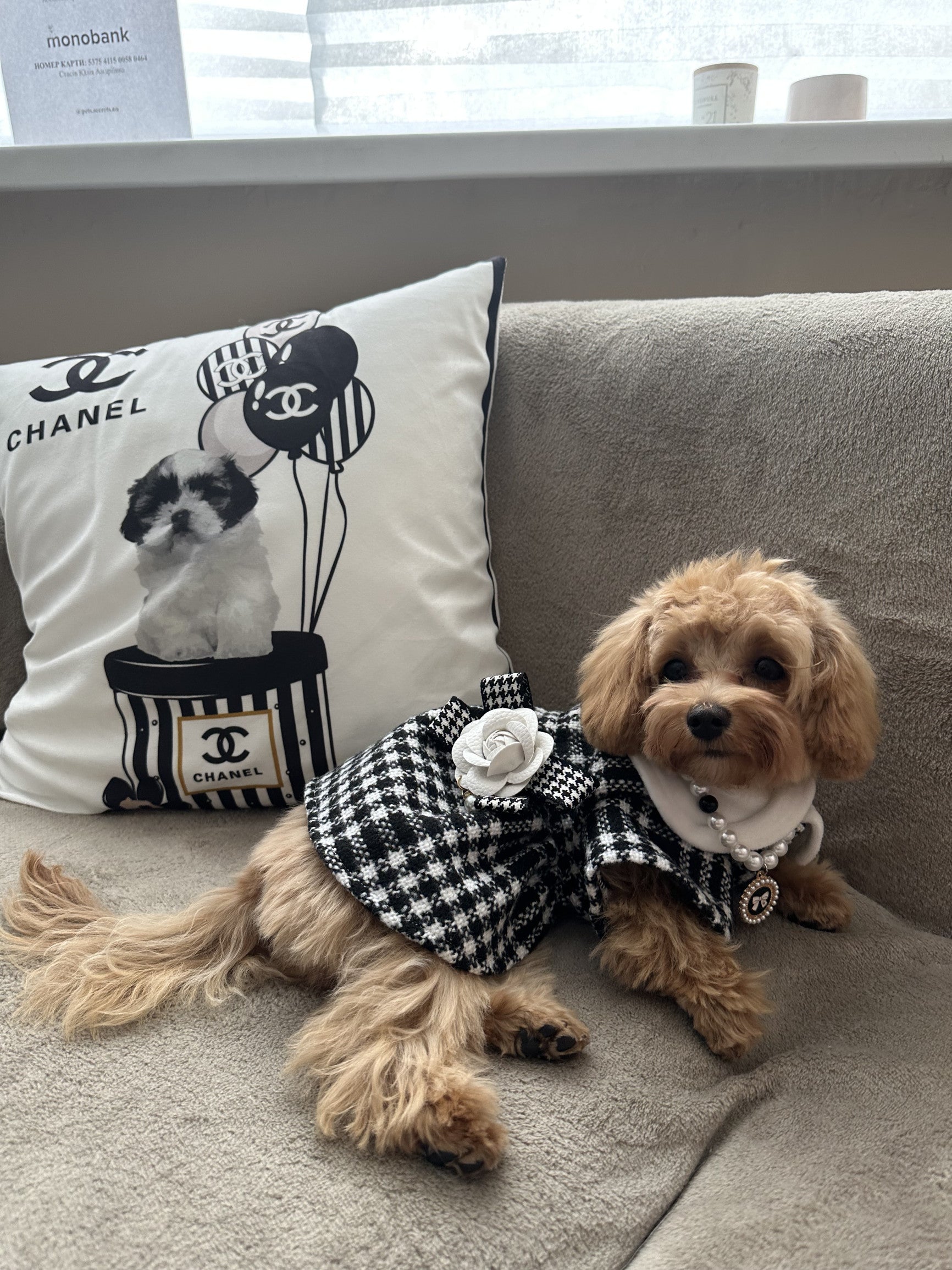 Сукня чорно-білого кольору Coco Elegance