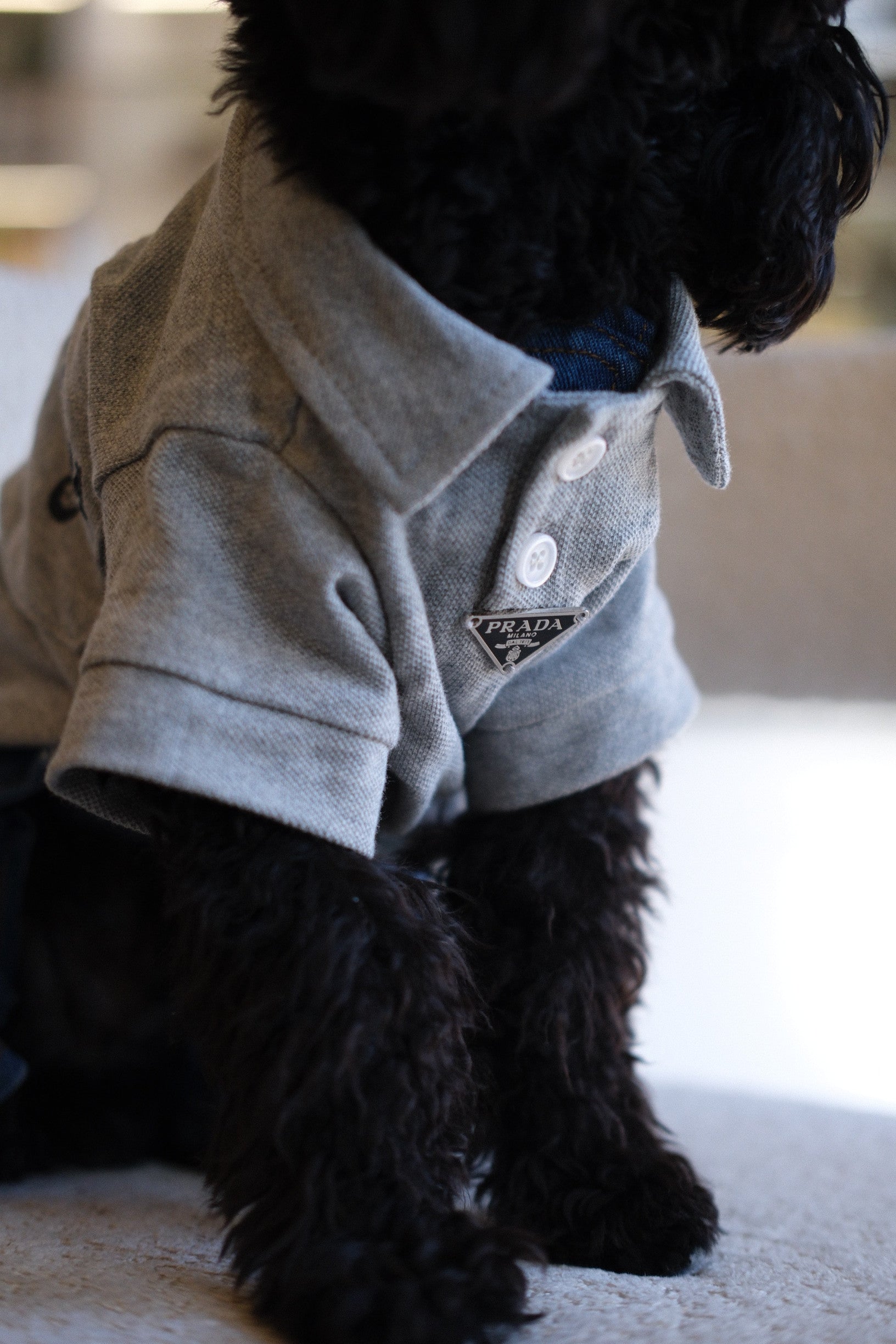 Футболка-поло сірого кольору Prada