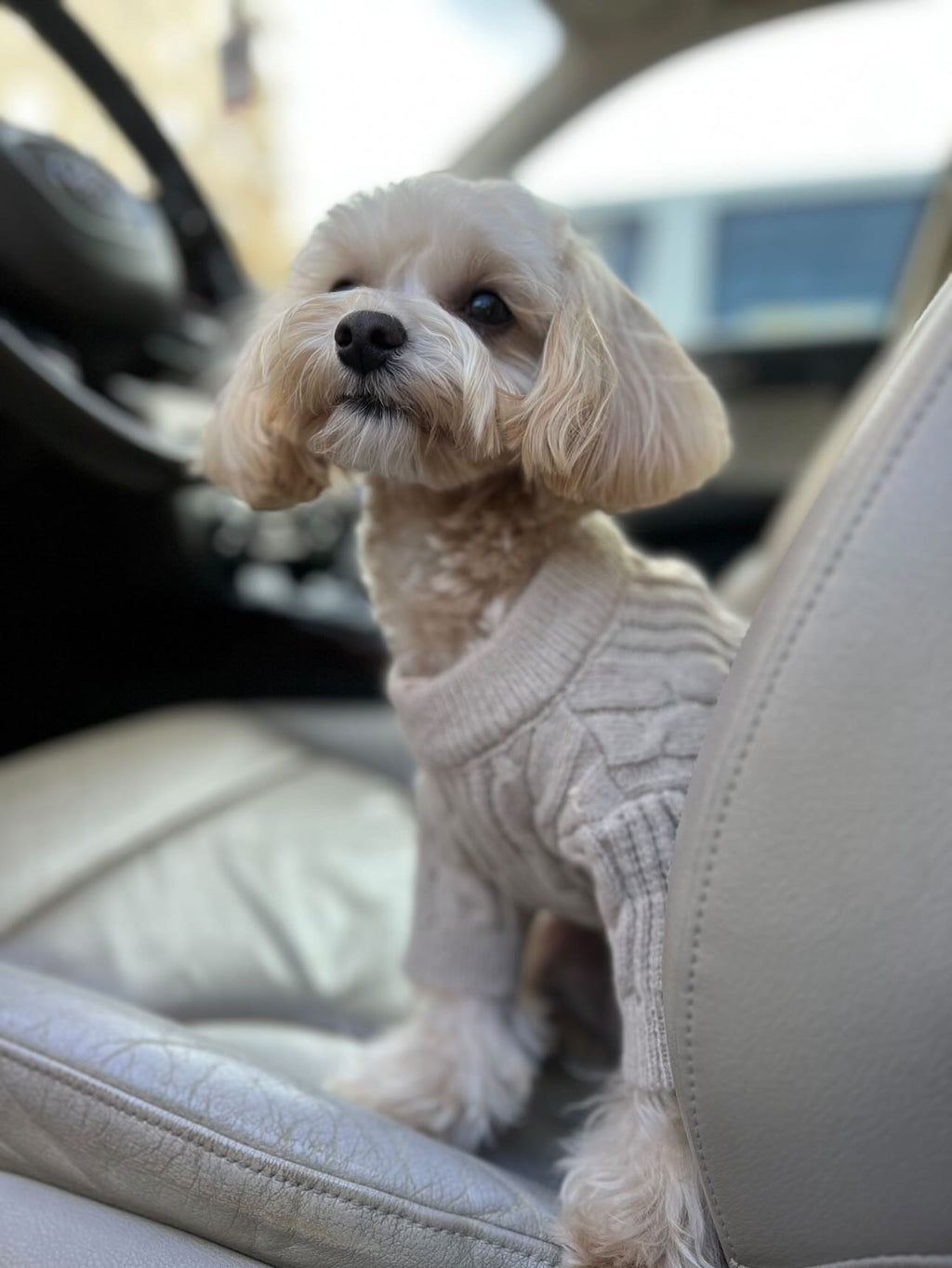 Светр бежевого кольору Косичка