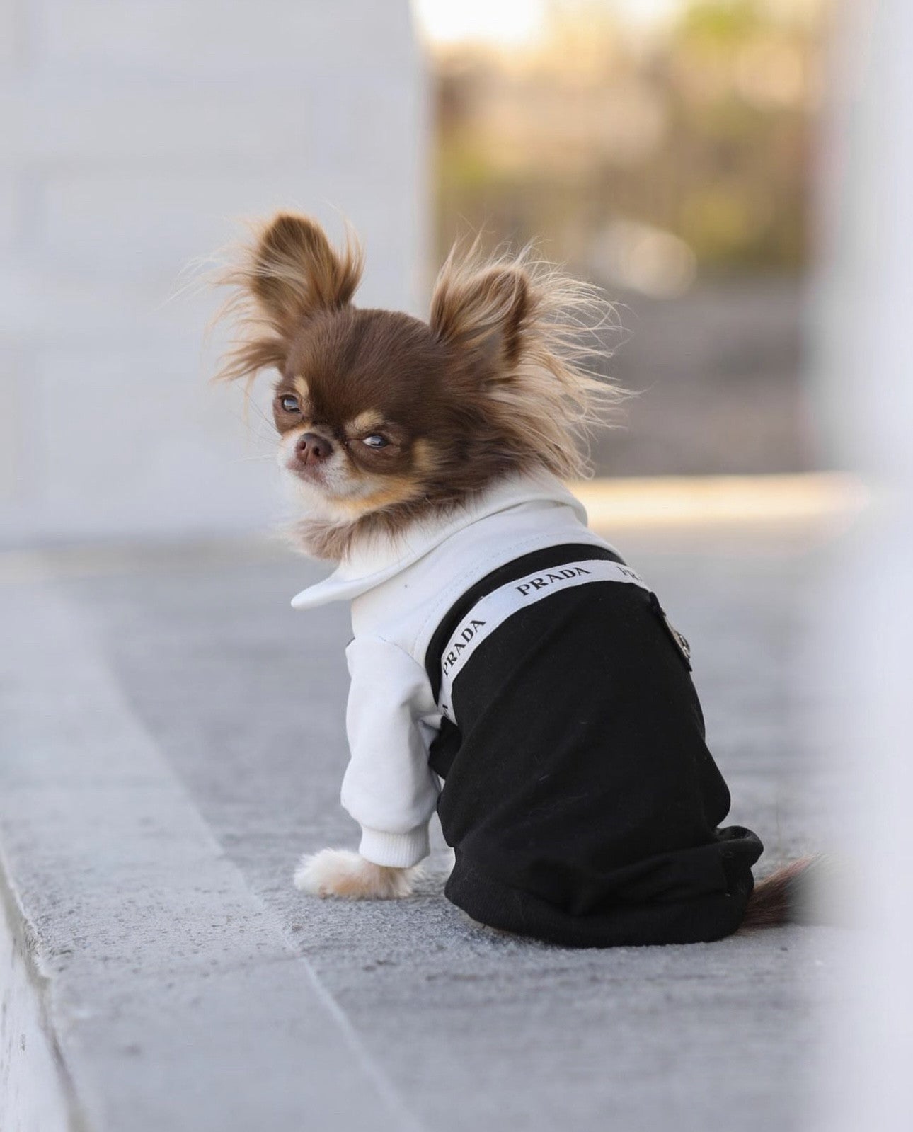 Бомбер чорно-білого кольору Prada