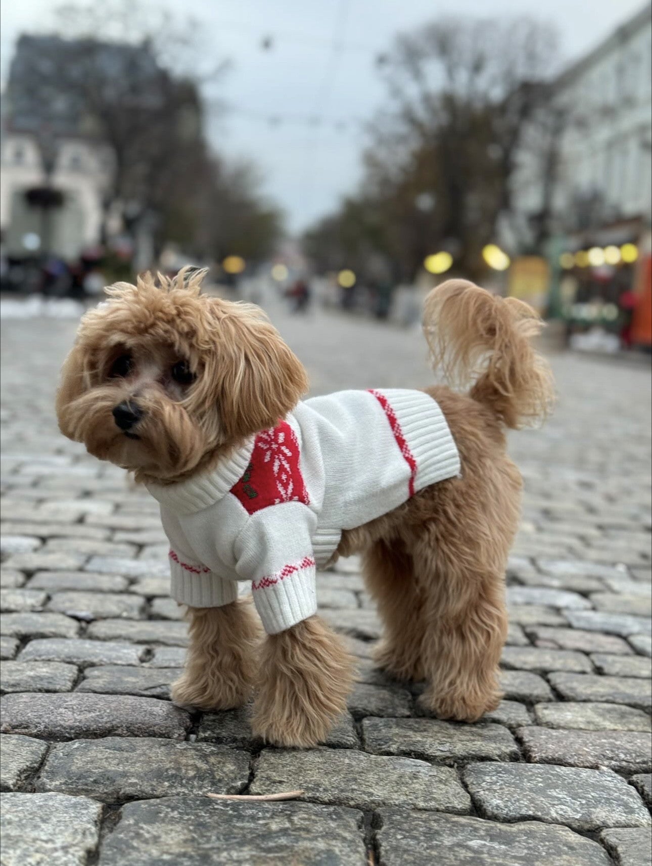 Светр білого кольору з новорічним принтом Сніжинка