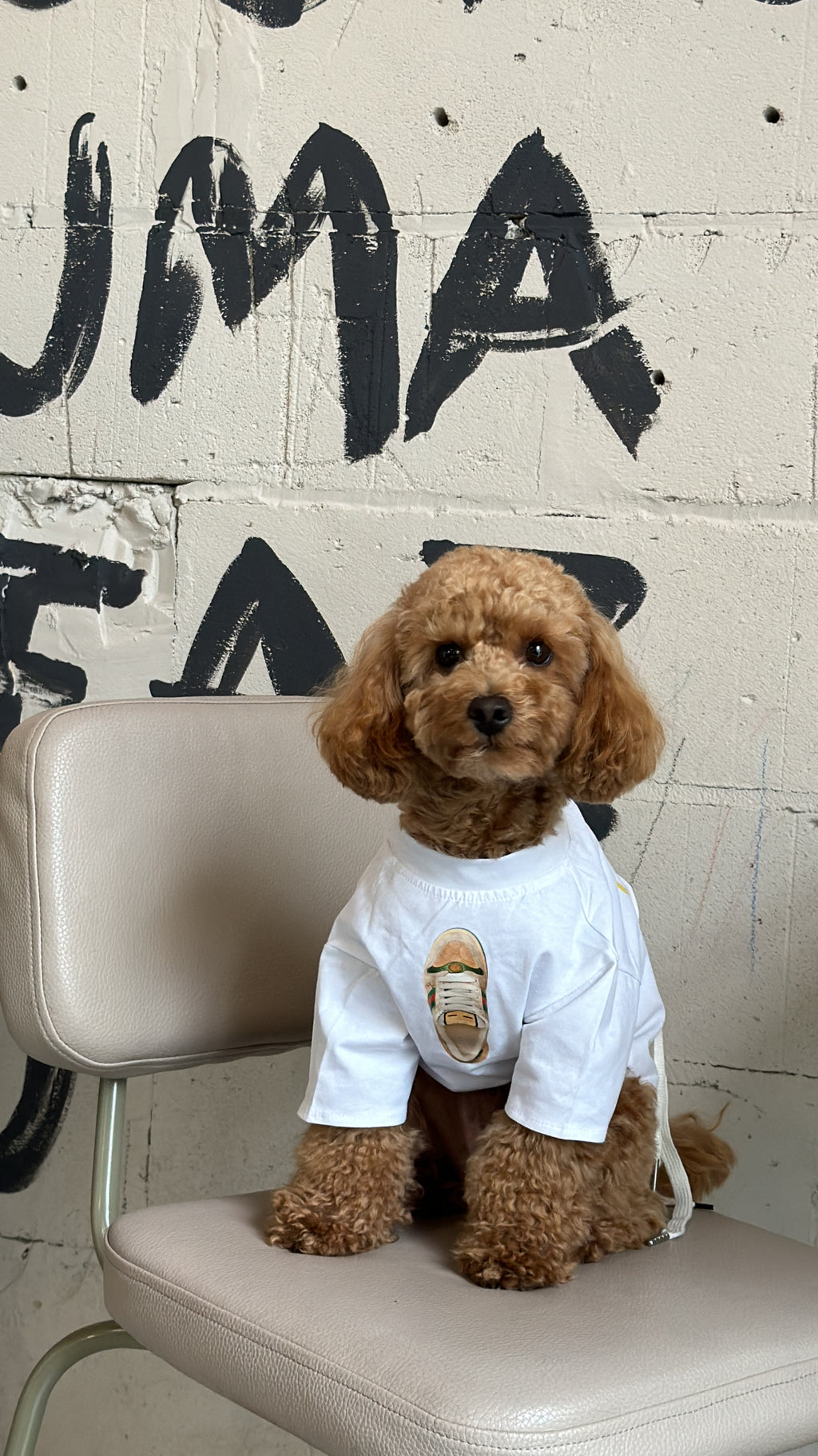 White T-shirt with sneakers and Gucci print