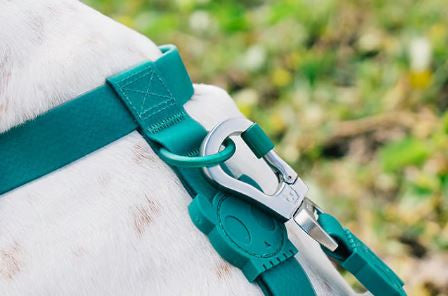 Шлея для собак Zee.Dog - Neo Pro H-Harness Amazonia