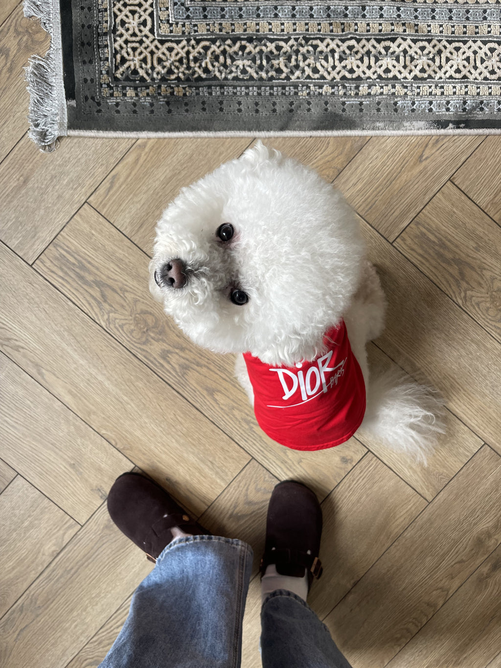 Red T-shirt with Dior Paris print