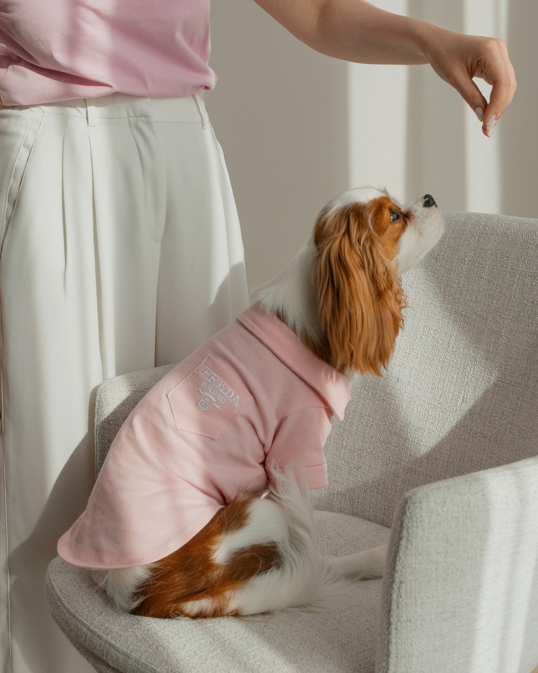 Футболка-поло рожевого кольору Prada