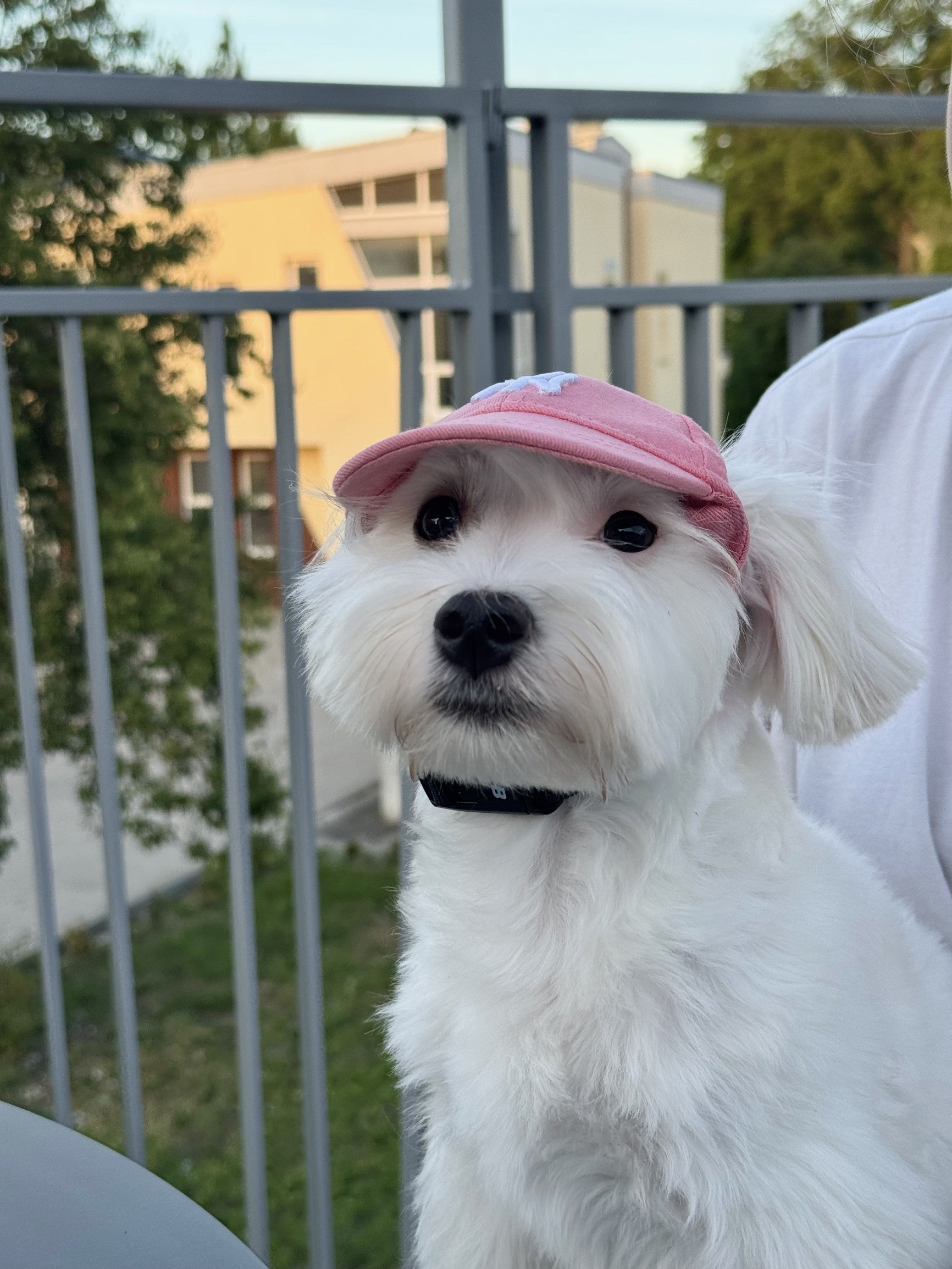 Кепка рожевого кольору NY