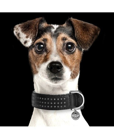 Нашийник чорного кольору Milk&Pepper - Collar Amaya