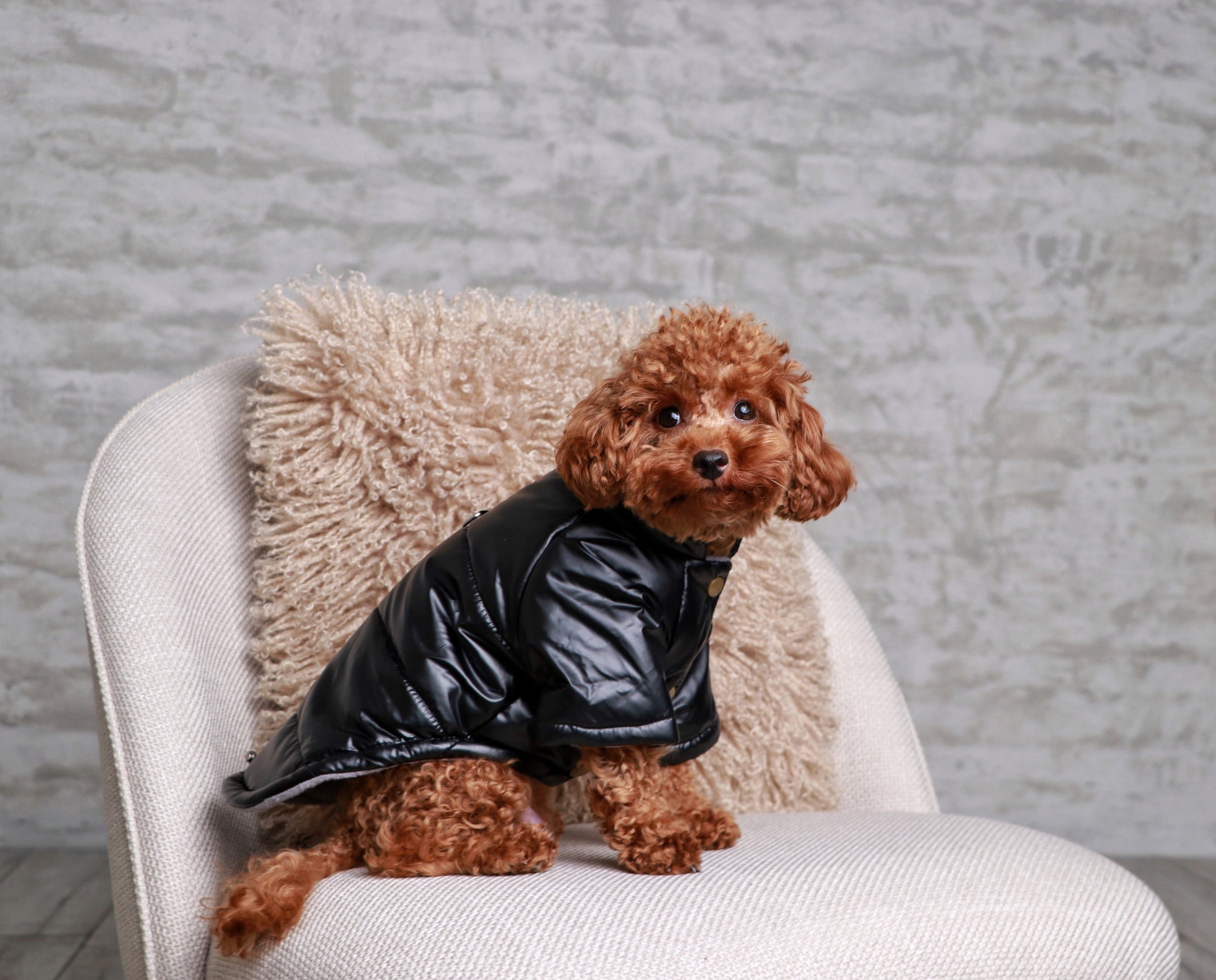 Куртка чорного кольору Basic