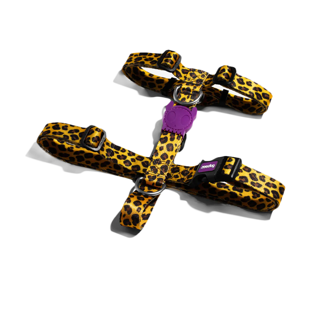 Harness for dogs Zee.Dog - Honey H-Harness