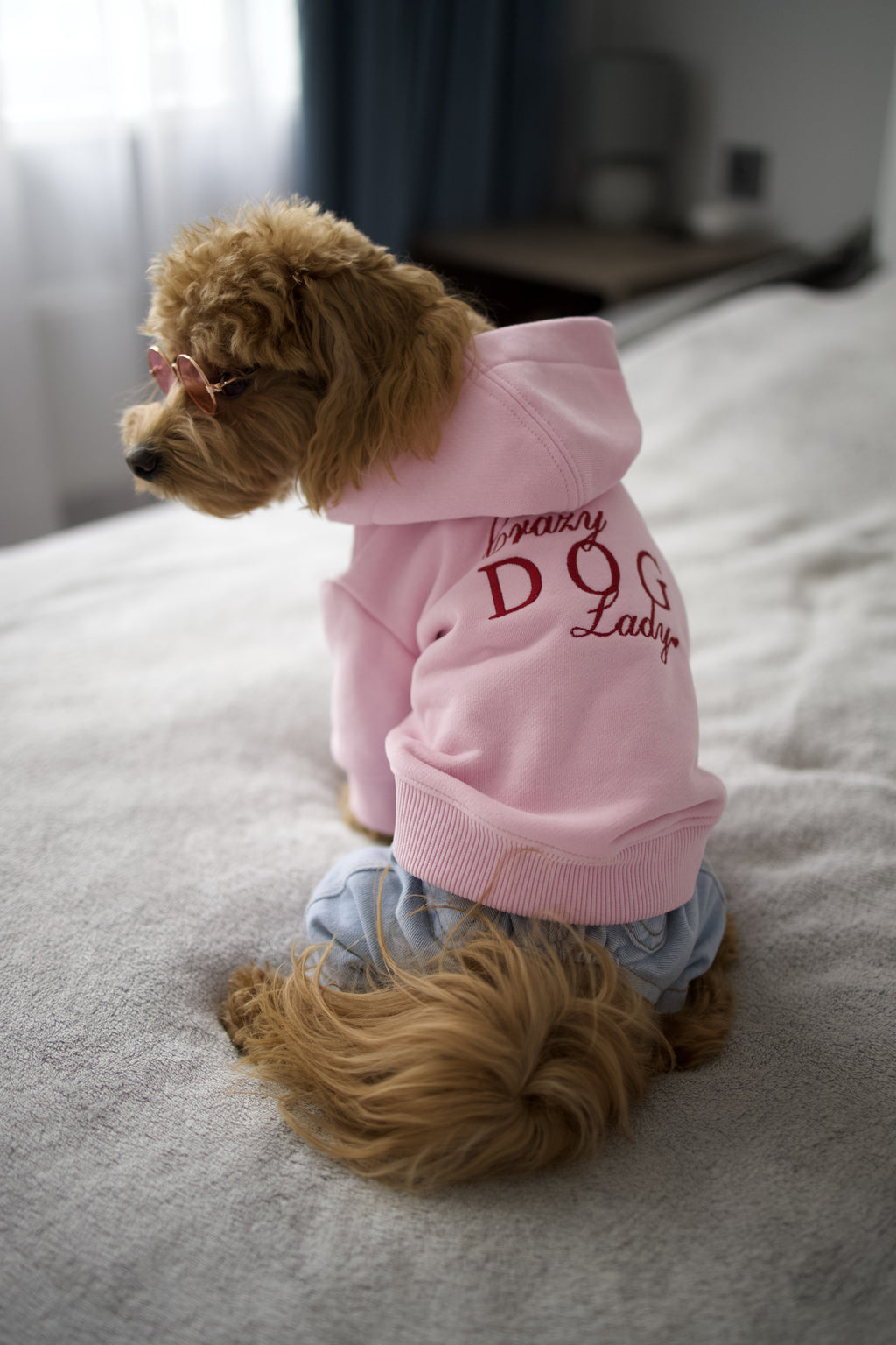 Crazy dog ​​lady pink hoodie
