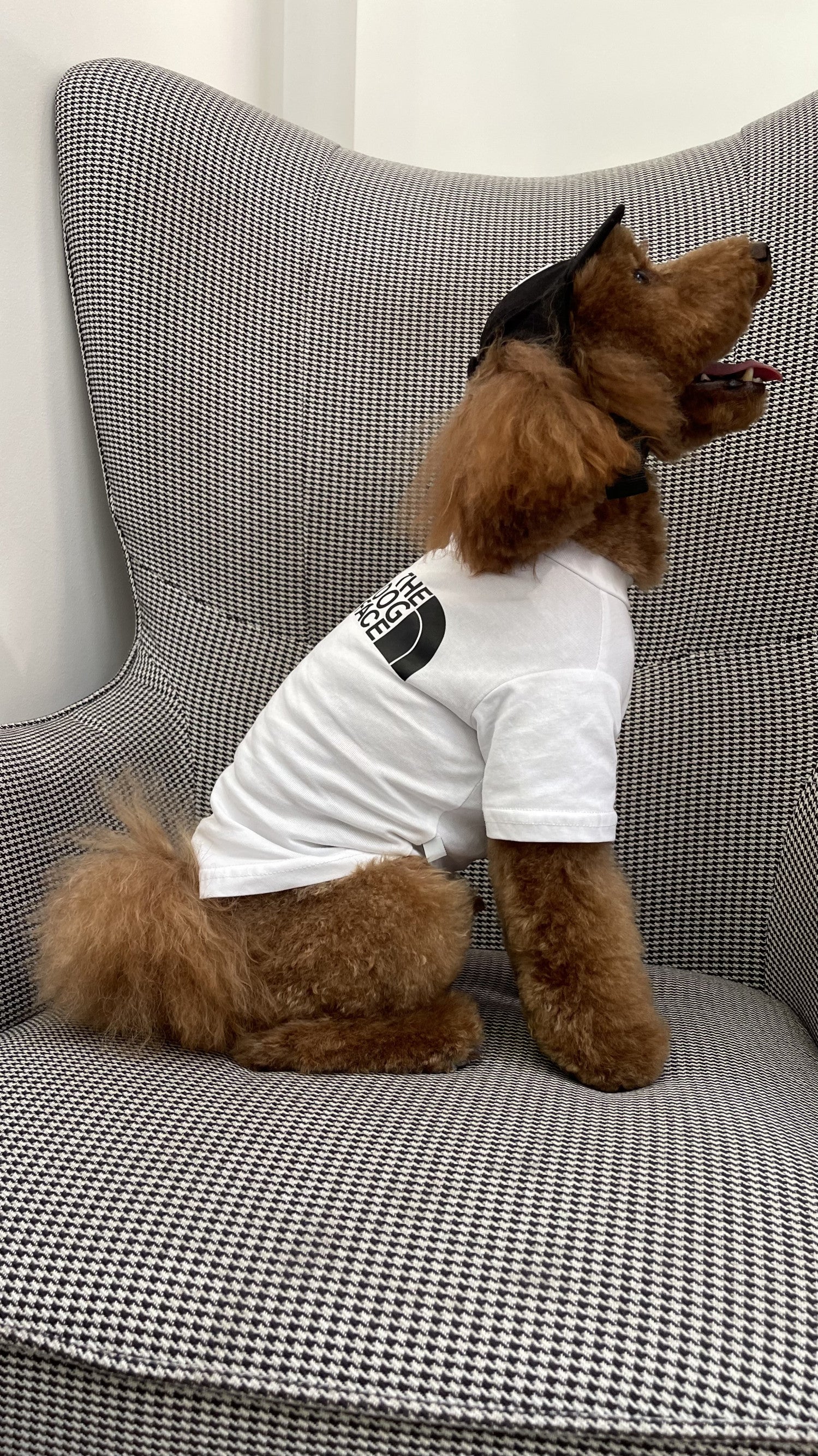 Футболка білого кольору з принтом The Dog Face