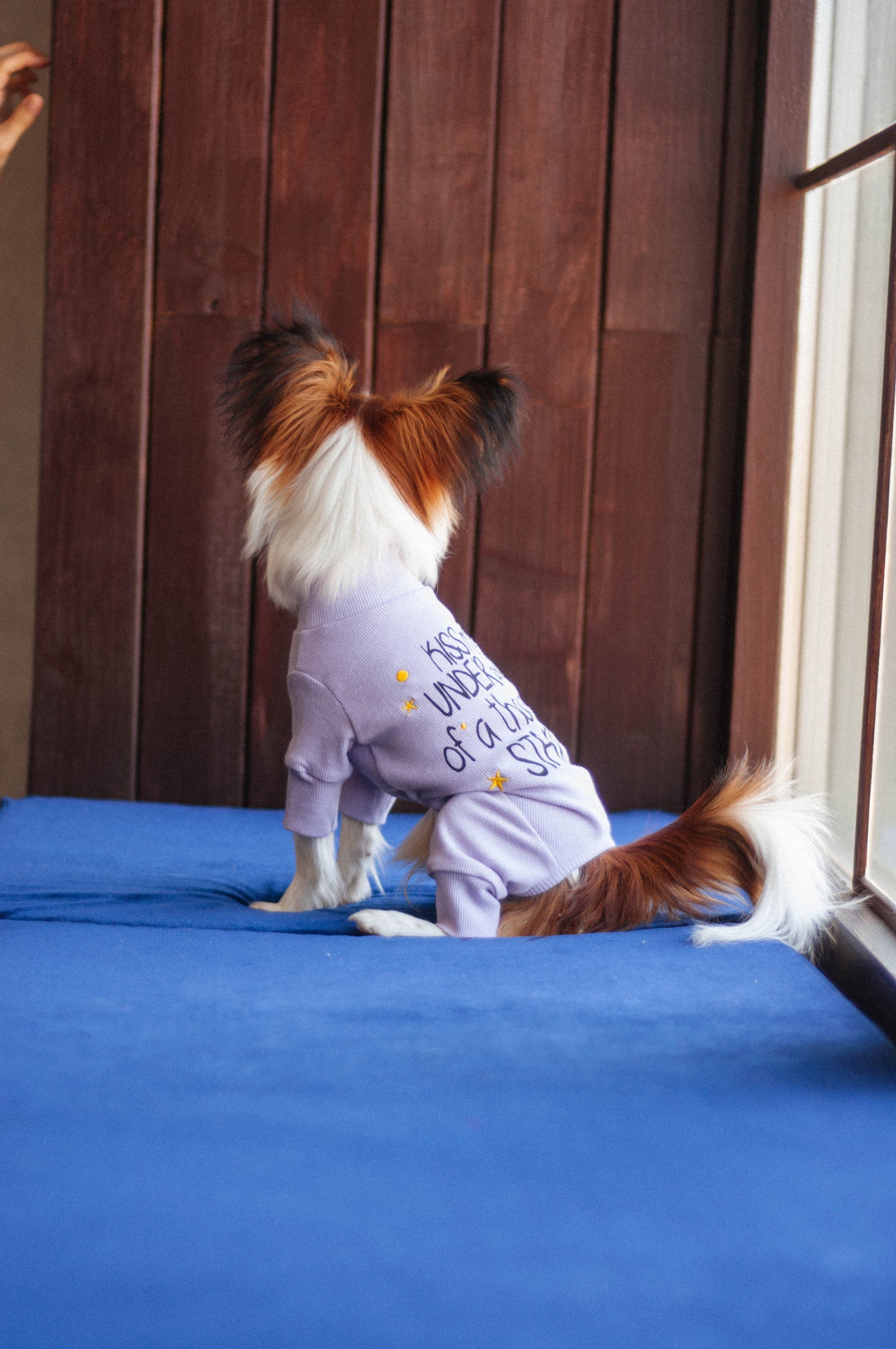 Комбінезон лавандового кольору з принтом Кiss me