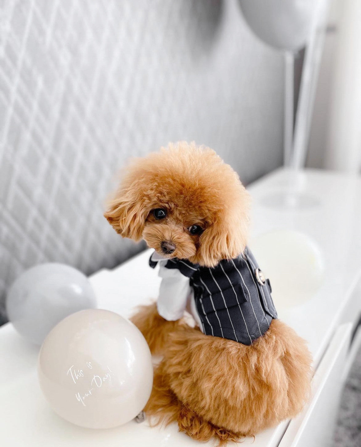 Смокінг чорно-білого кольору Gentle Classic