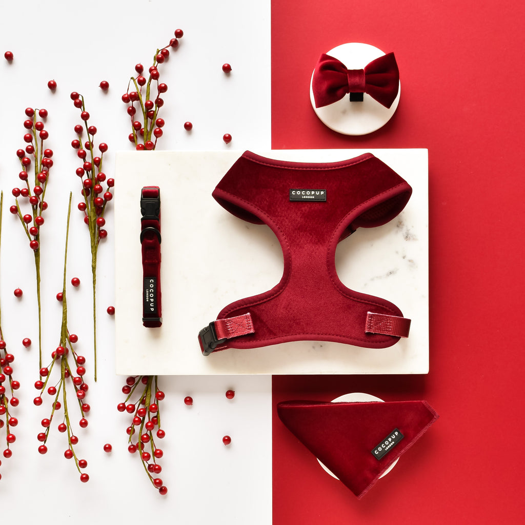 Шлея для собак Cocopup Luxe Velvet - Berry Red