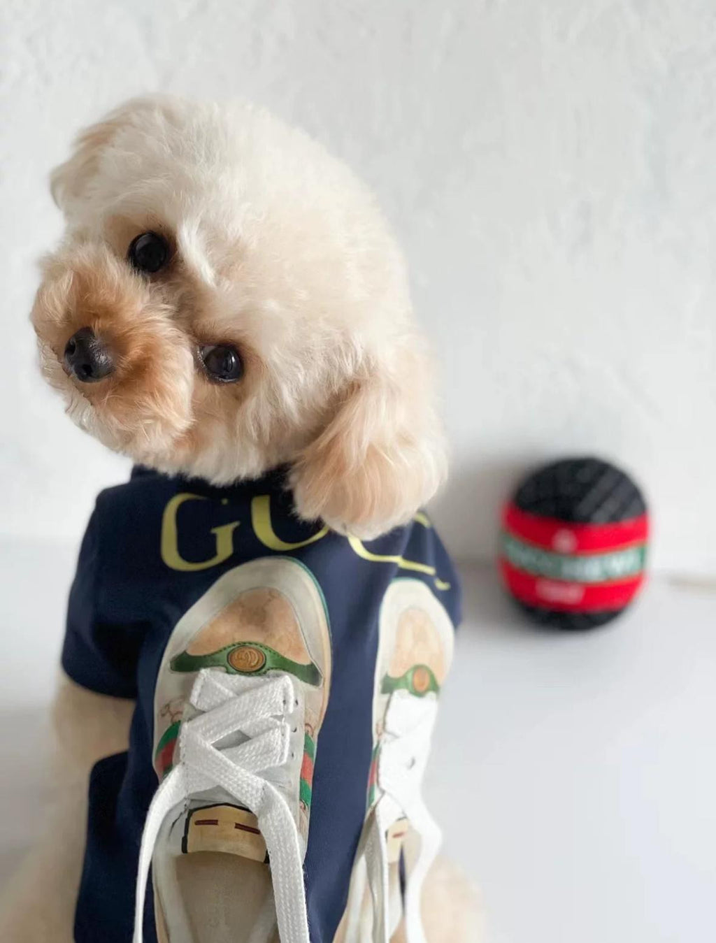 Navy blue T-shirt with sneakers and Gucci print
