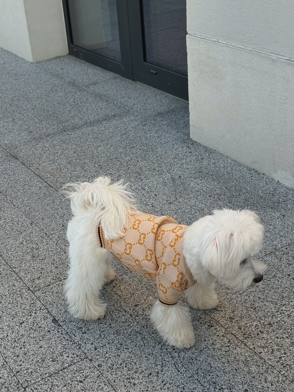 Beige cardigan with Gucci print