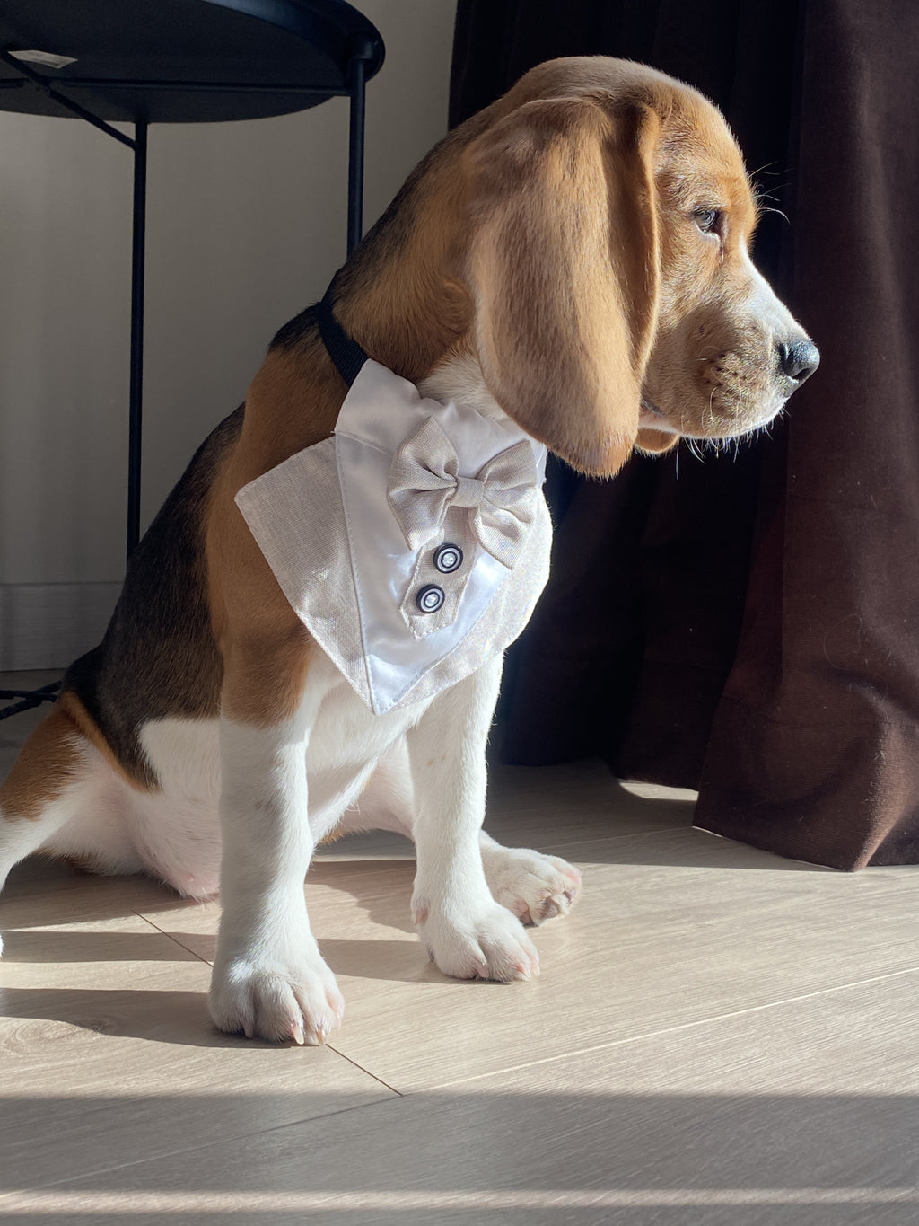 Нагрудник з метеликом бежевого кольору Gentle Beige