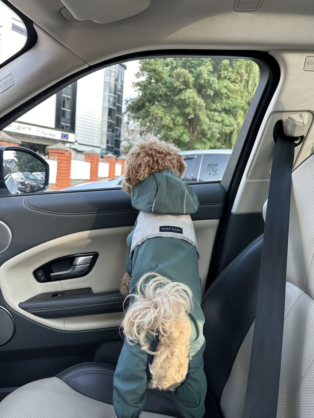 Green raincoat Take easy