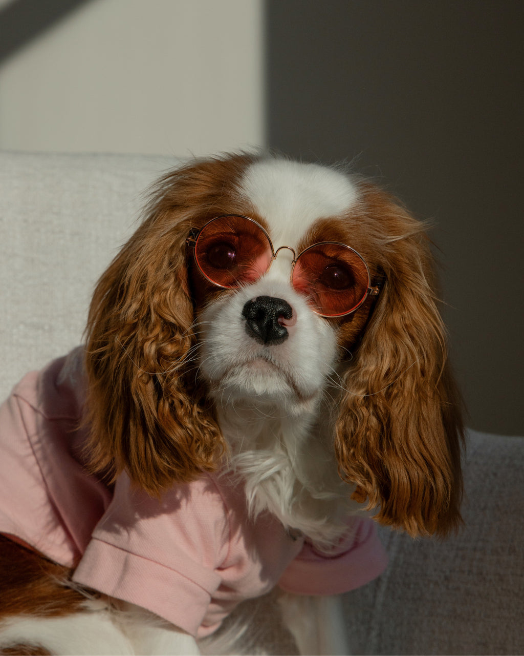 Окуляри з круглими рожевими лінзами Pink Glam