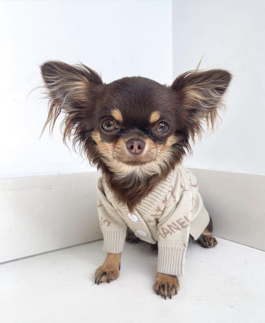 Кардиган бежевого кольору з принтом Chanel