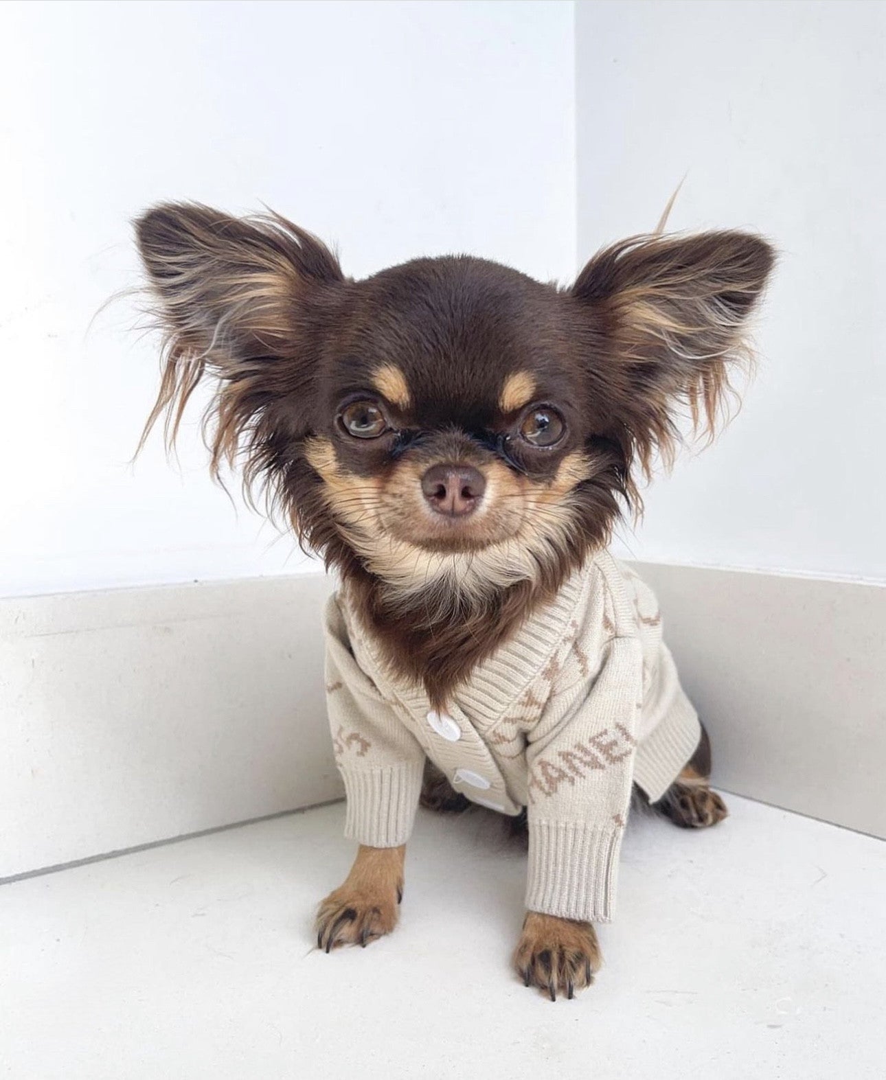 Кардиган бежевого кольору з принтом Chanel