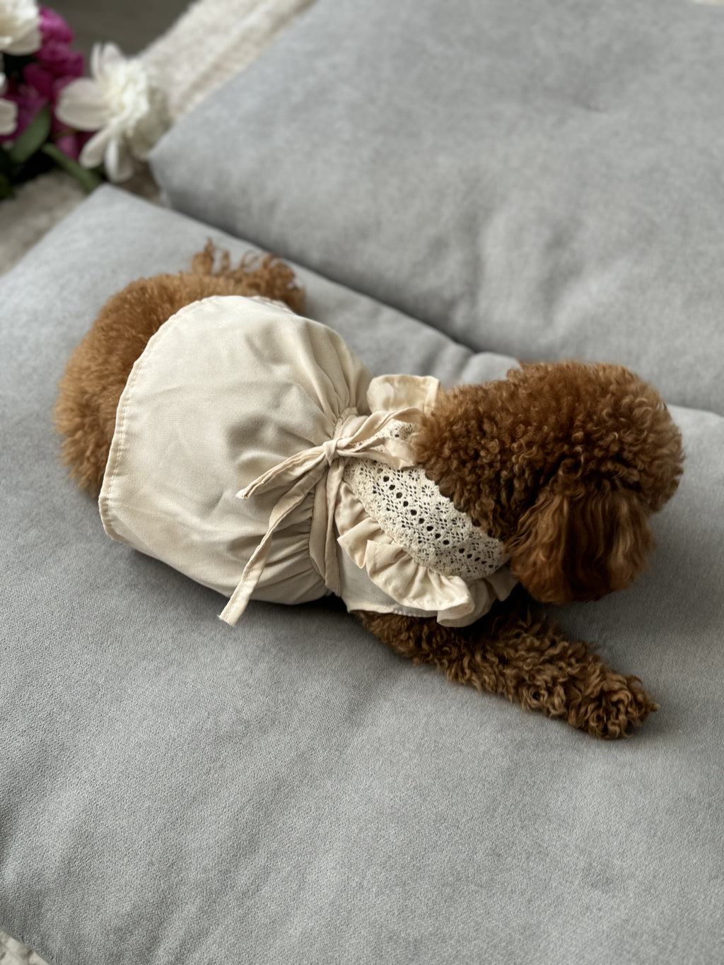 Cream Belle cream-colored viscose dress