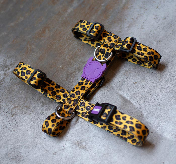 Шлея для собак Zee.Dog - Honey H-Harness