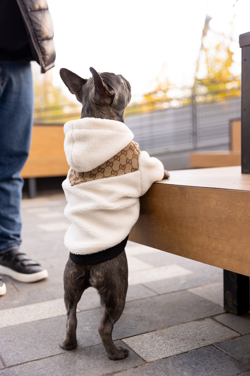 Куртка бежевого кольору з принтом The North Face Gucci