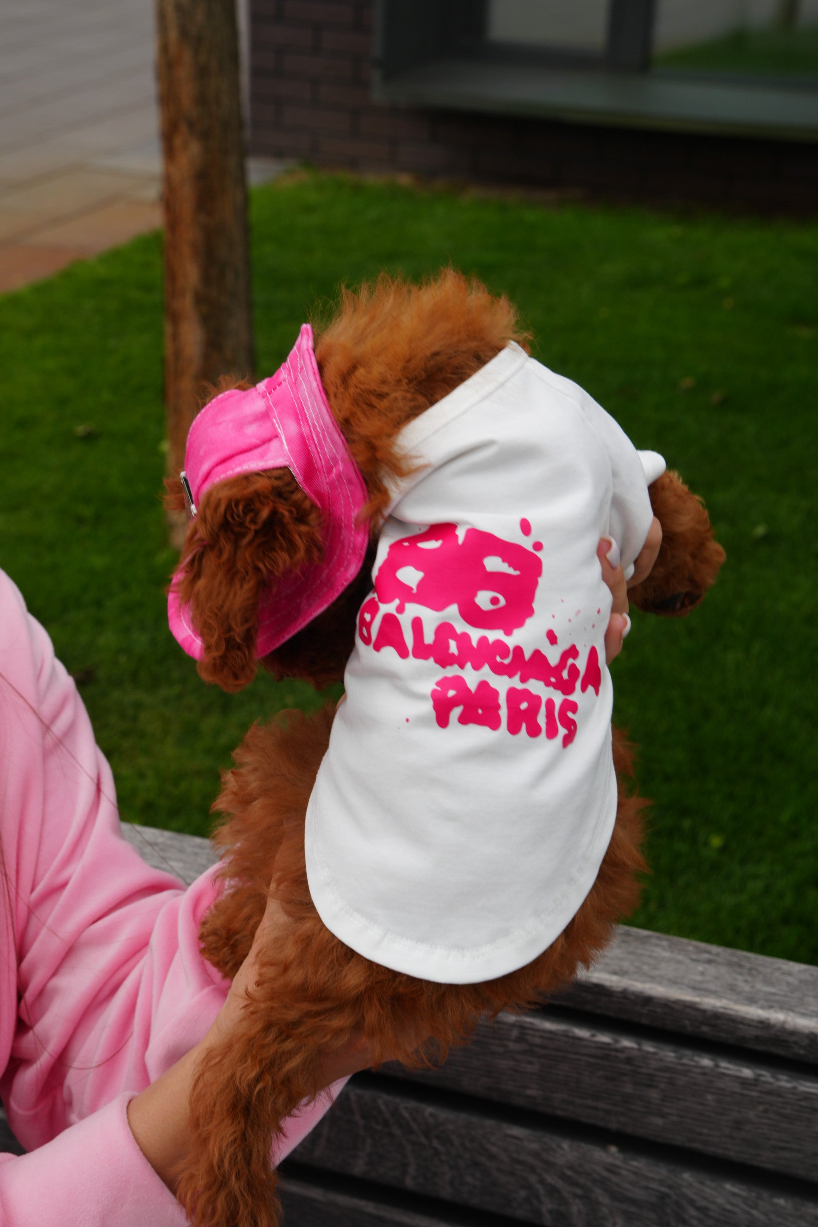 Футболка білого кольору з принтом Balenciaga