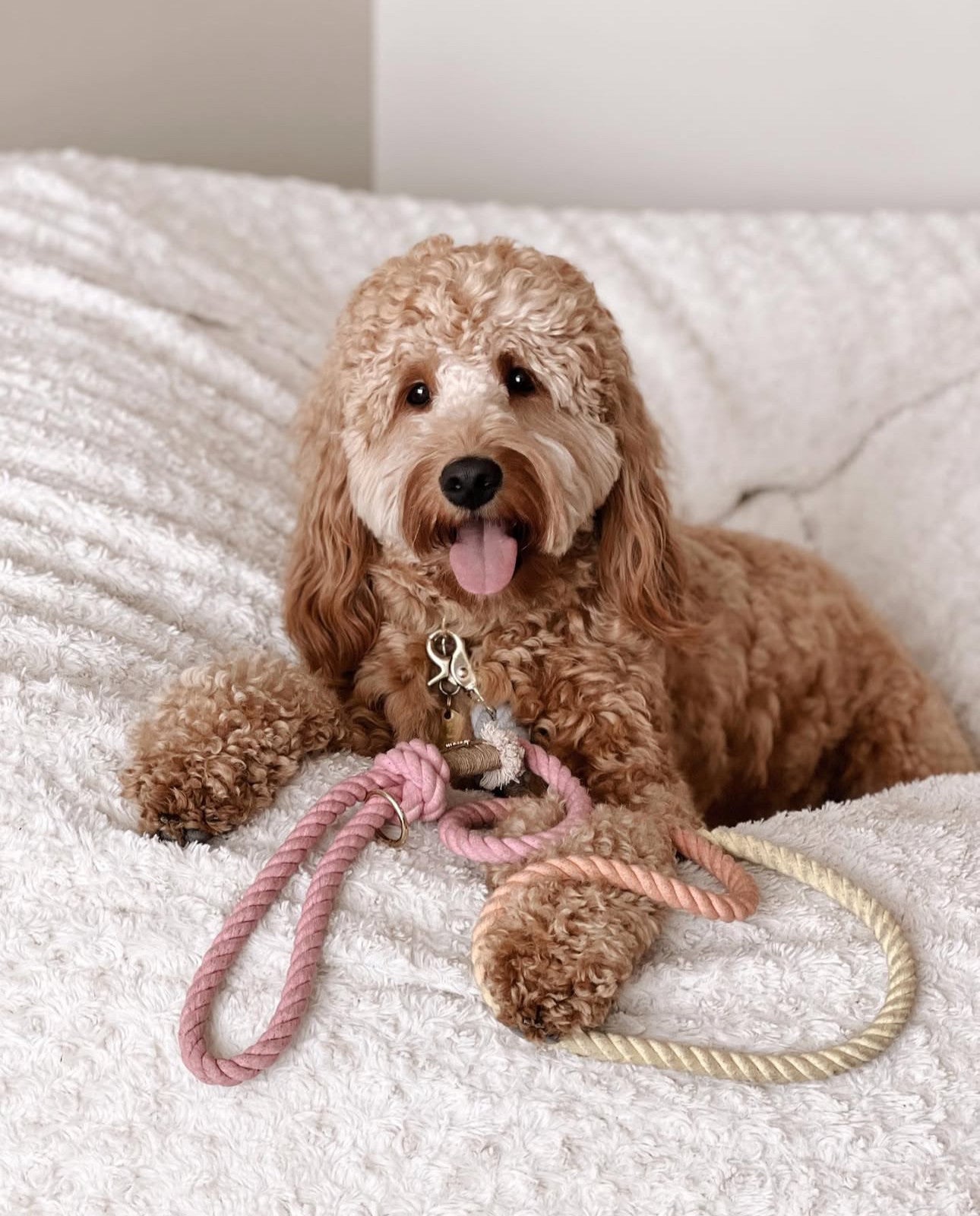 Повідець для собак Furlou Regular Rope Leash - Lucky Charms