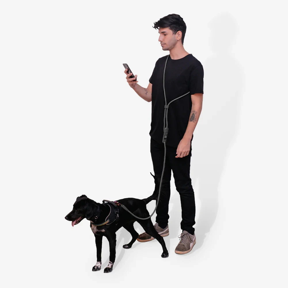 Повідець для собак Zee.Dog - Titanium Grey Handsfree Leash