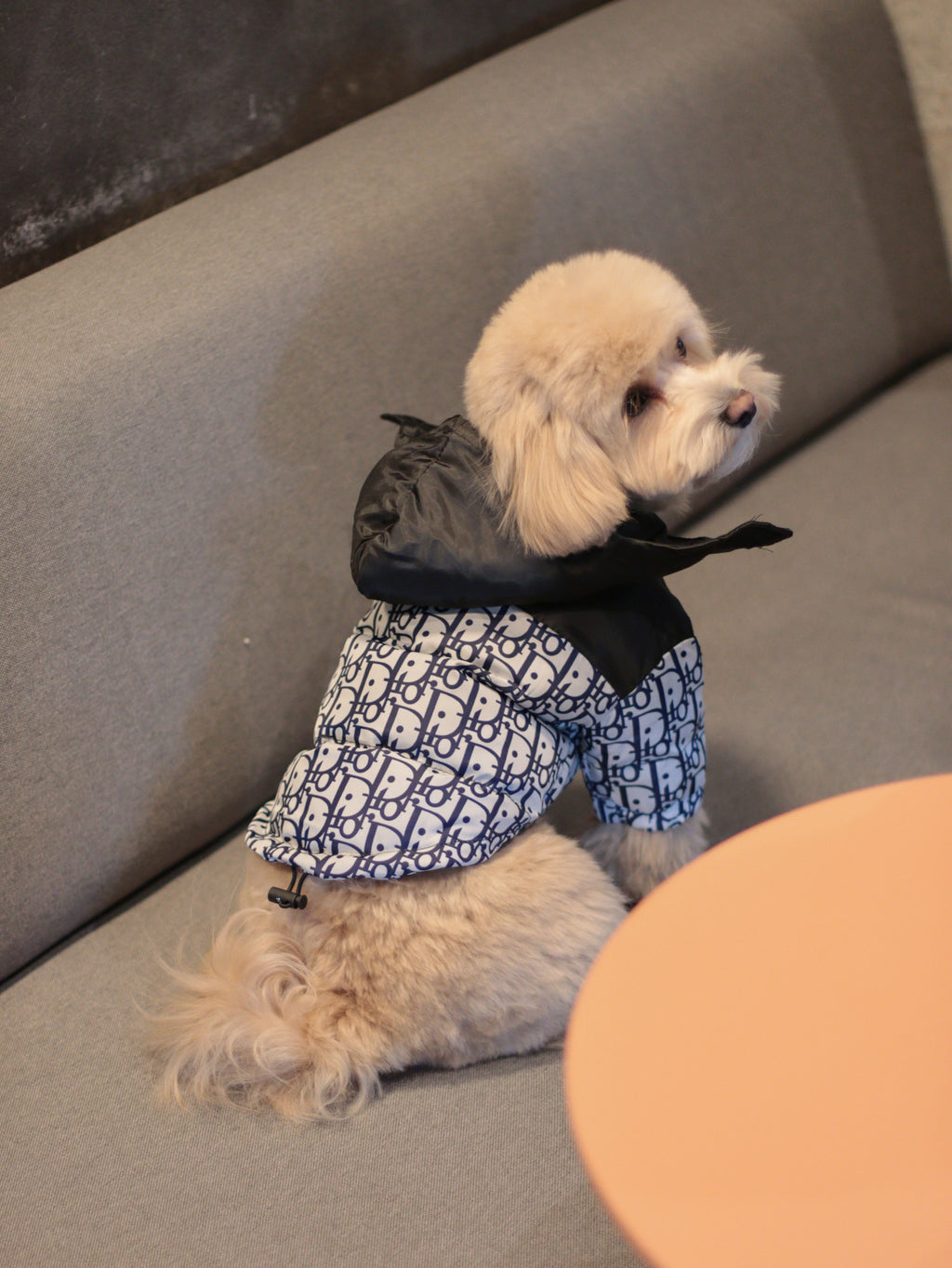 Куртка білого кольору з принтом Dior