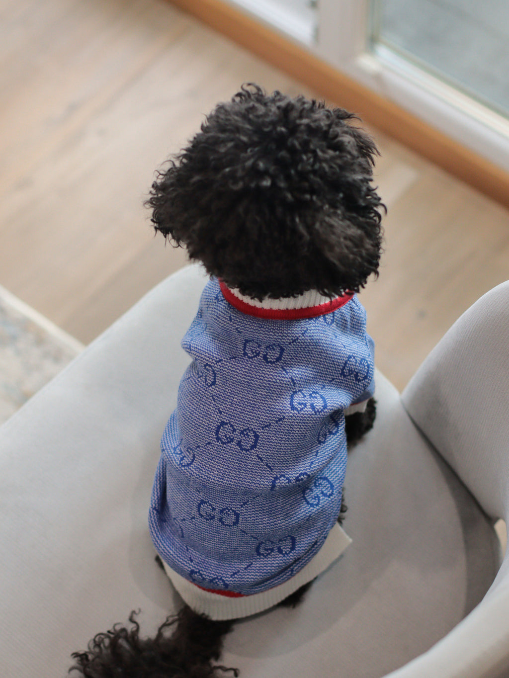 Blue cardigan with Gucci print