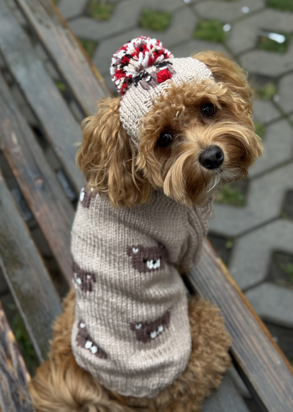 Светр бежевого кольору з принтом Sweet bear