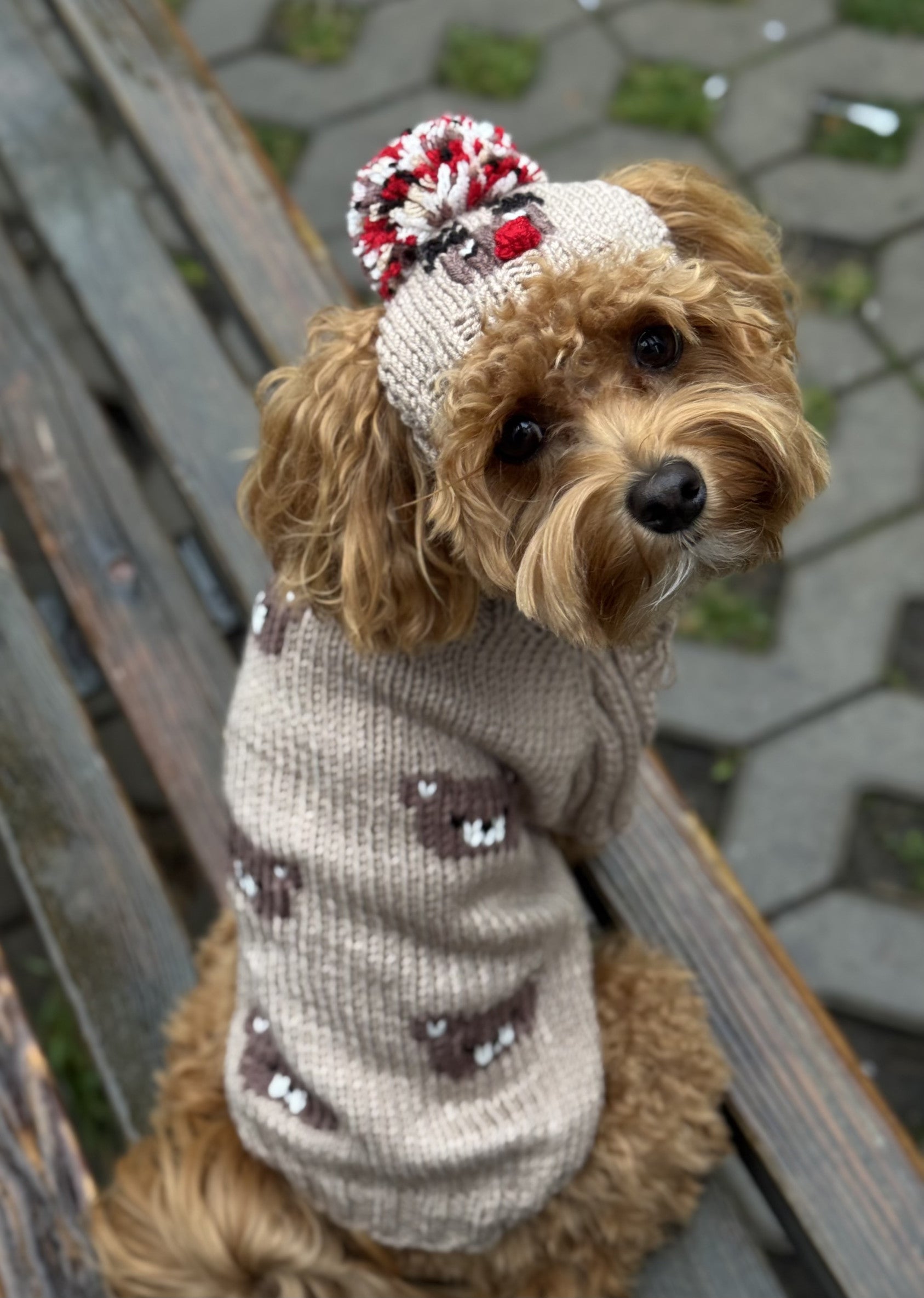 Светр бежевого кольору з принтом Sweet bear