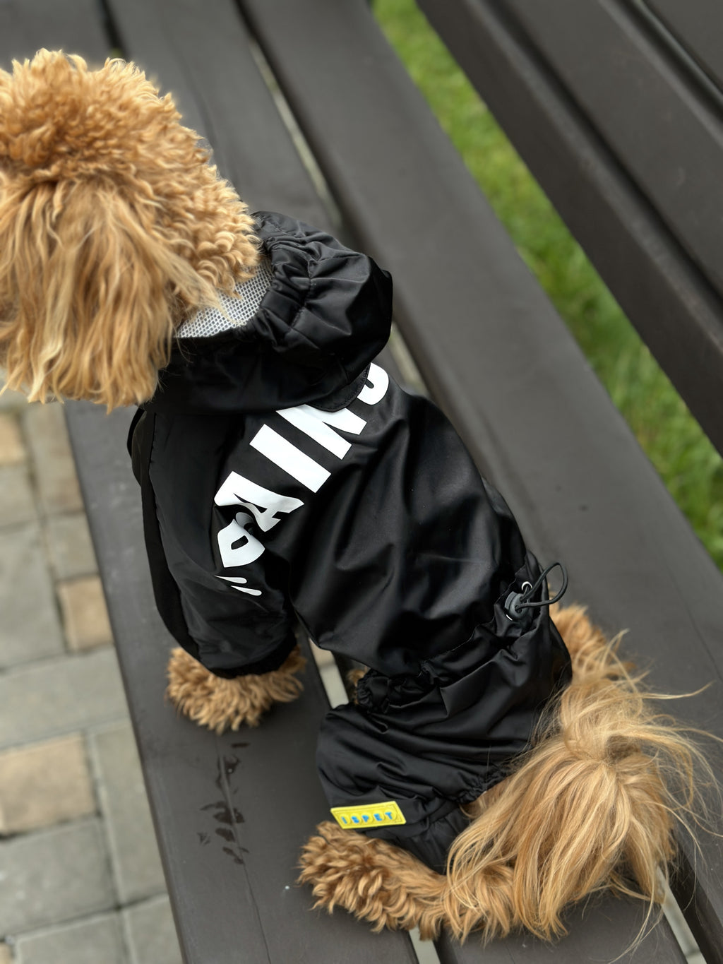 Black raincoat Is Pet