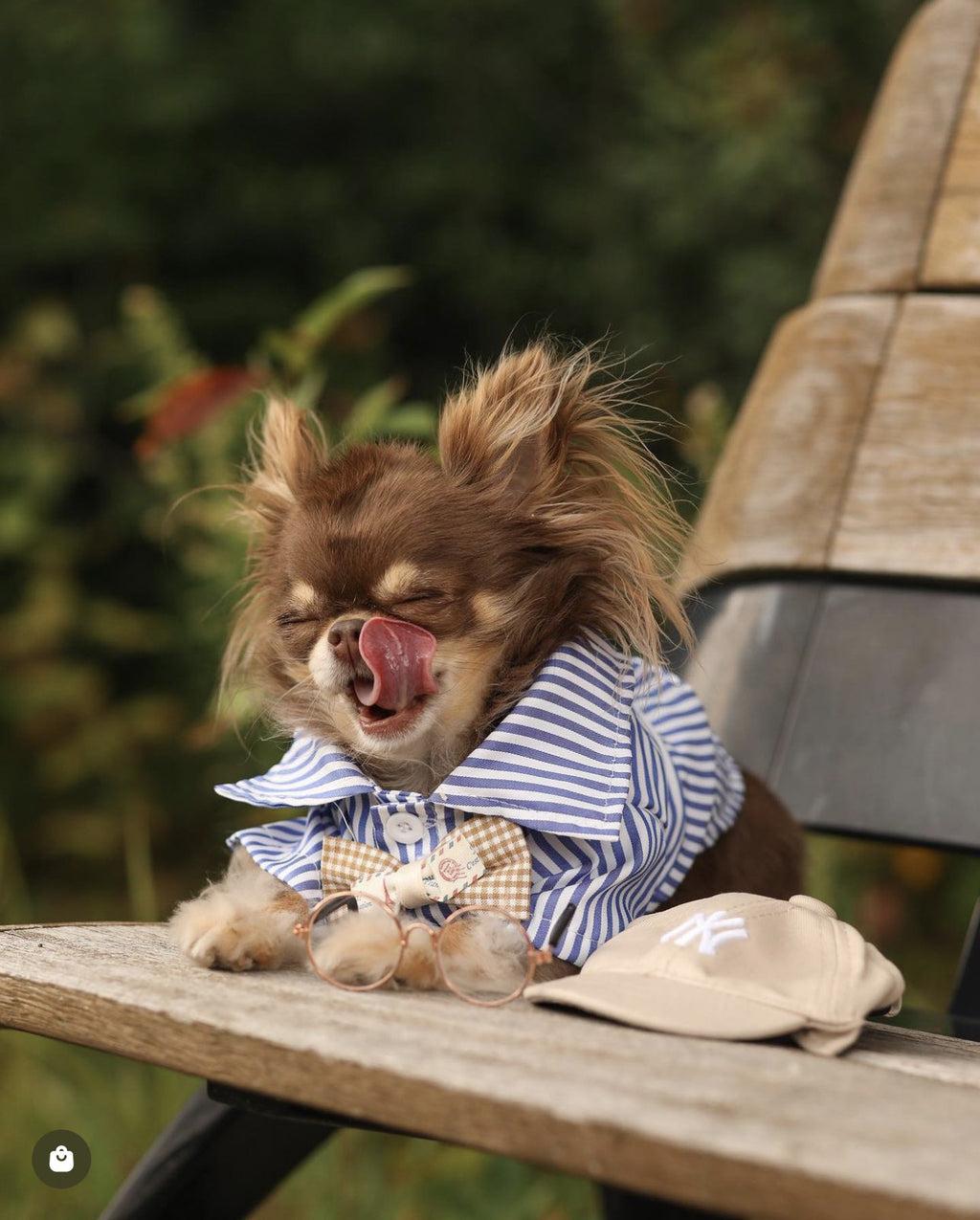 White shirt with Blue Stripe
