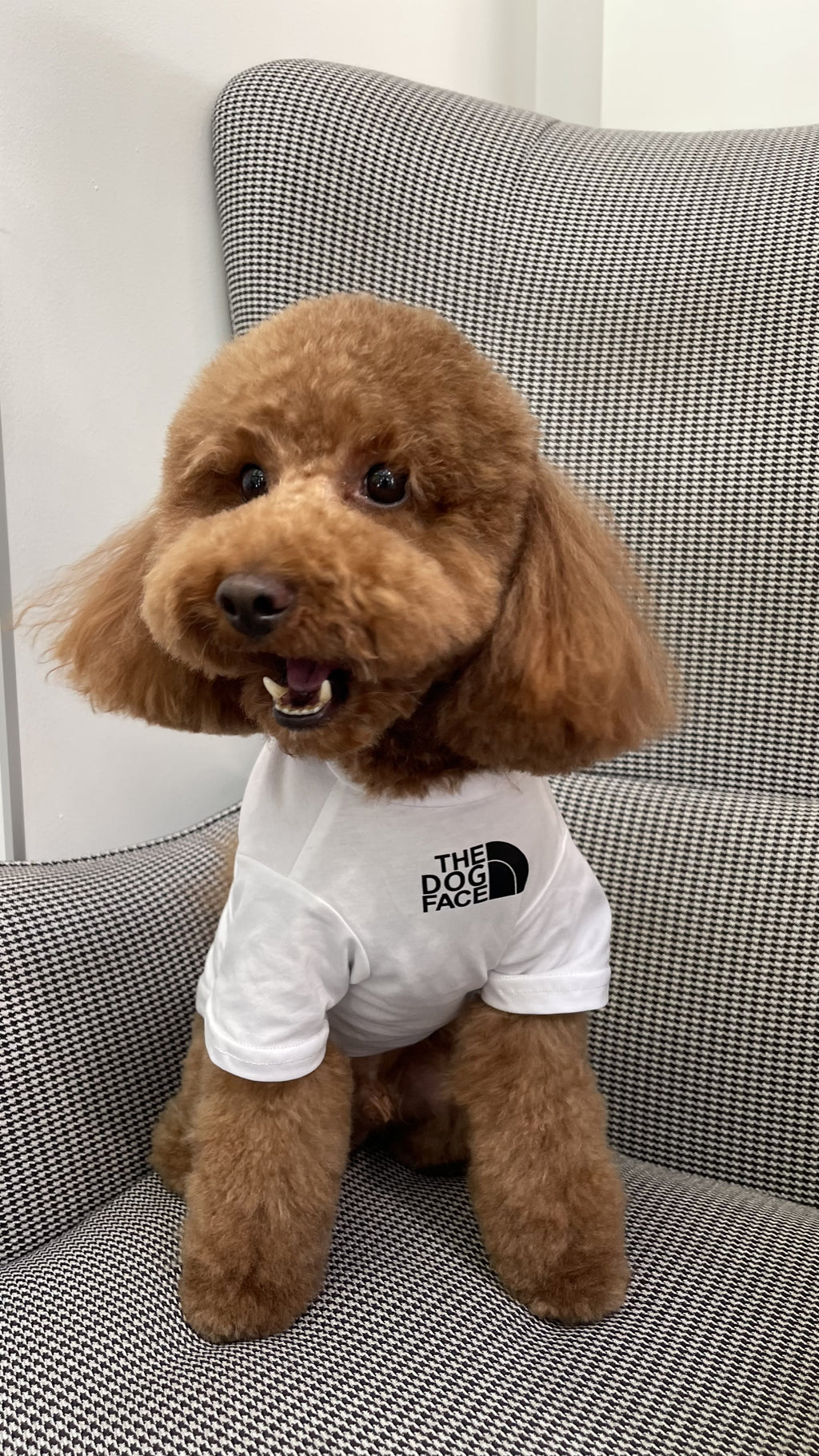 White T-shirt with The Dog Face print