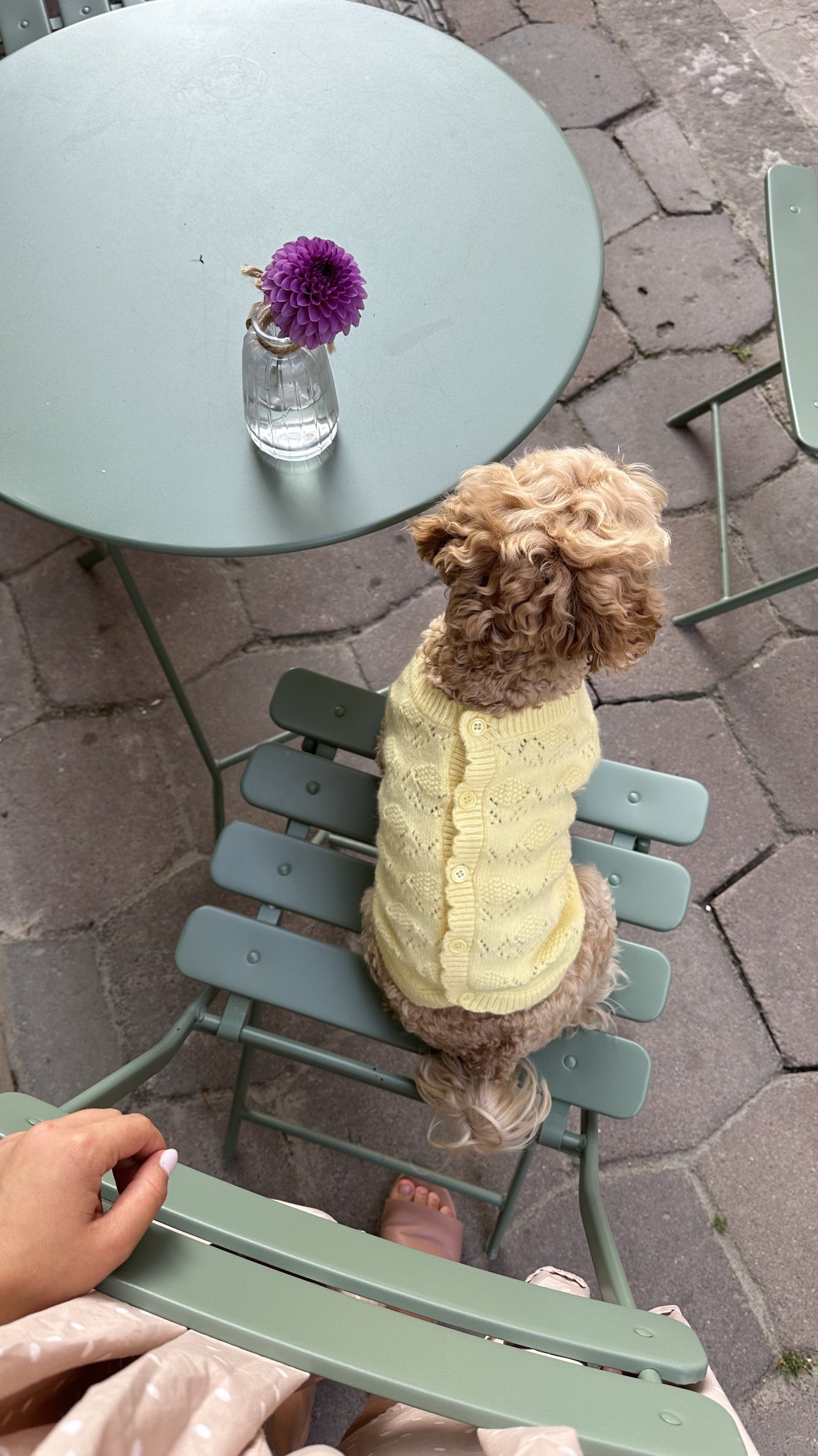 Светр жовтого кольору з ґудзиками на спинці