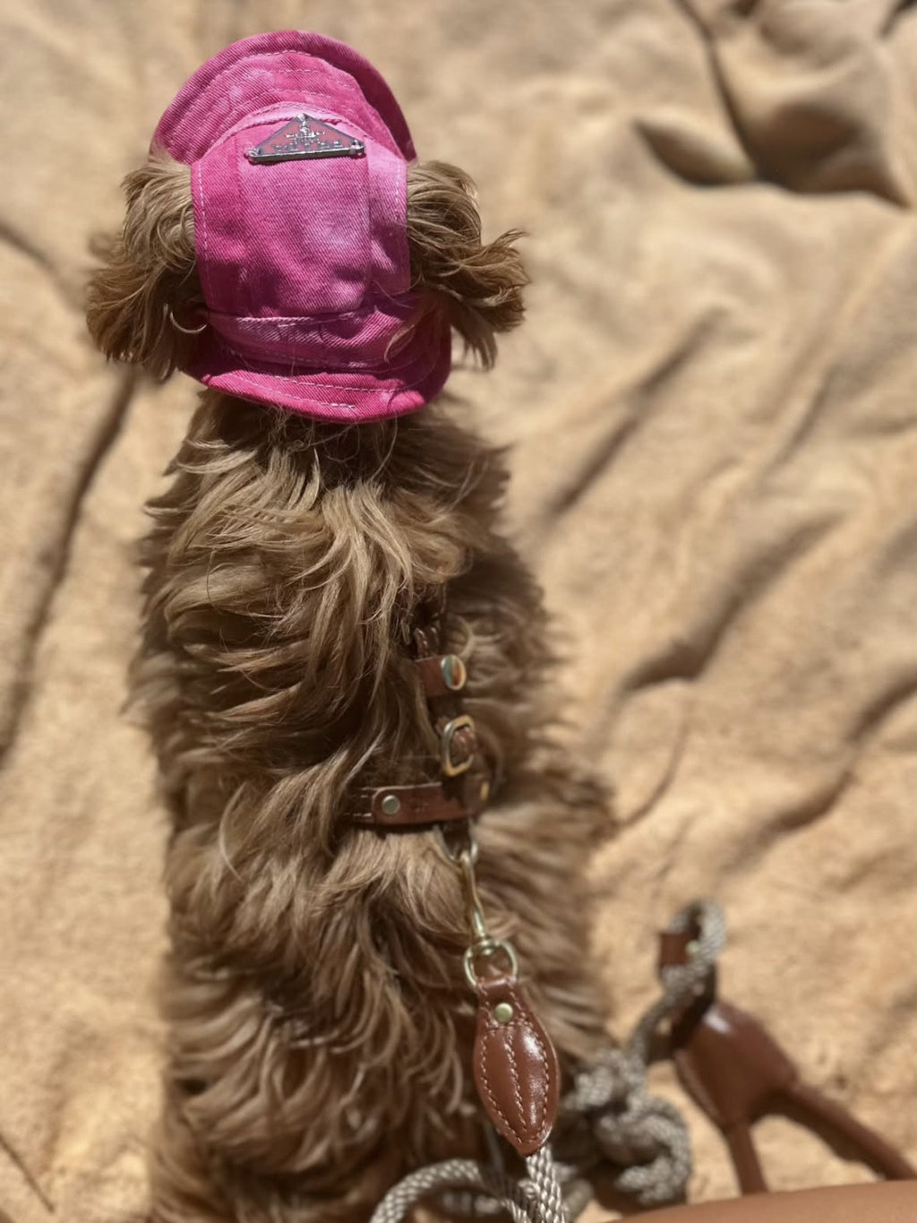 Prada raspberry Panama hat