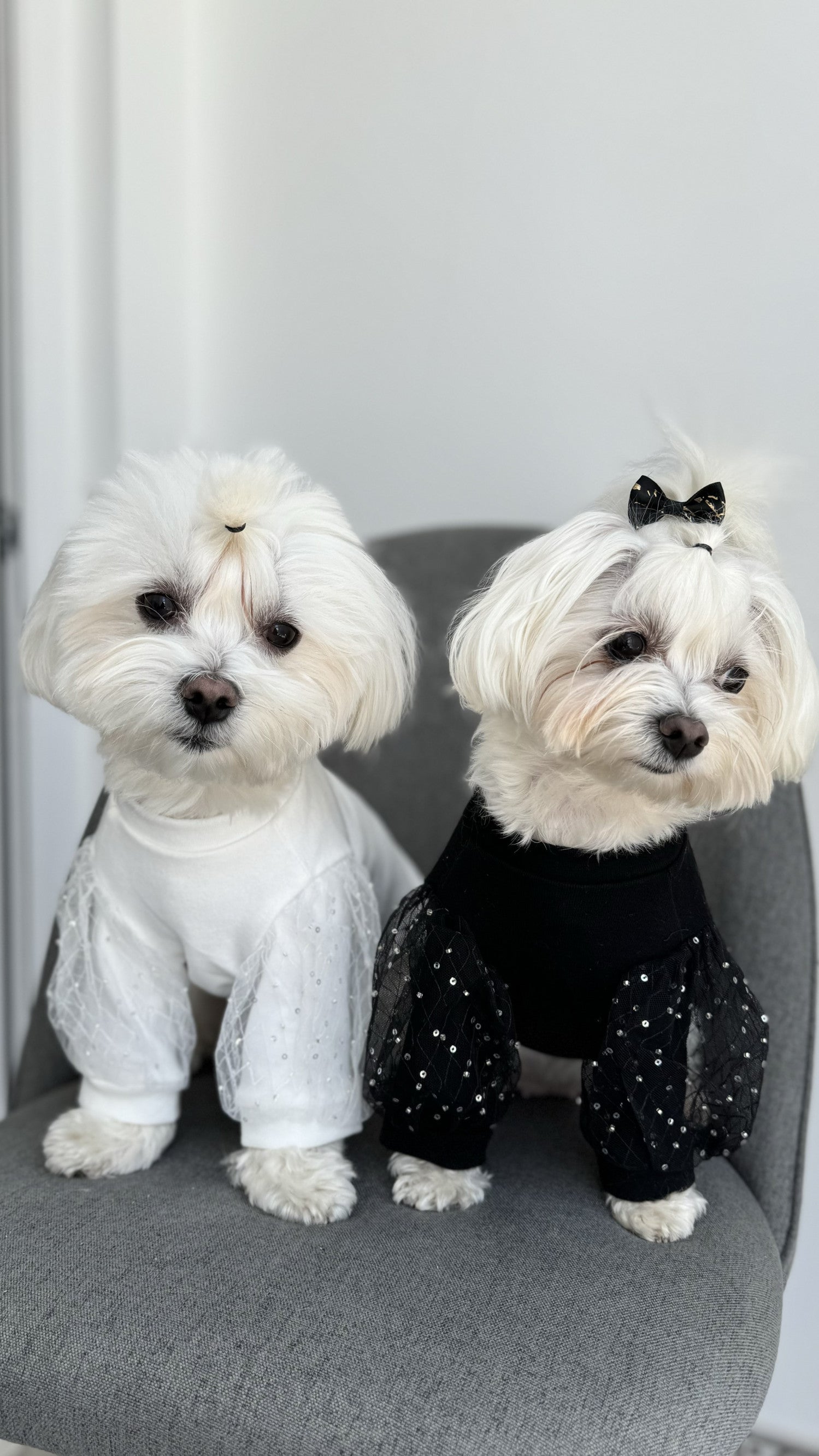 Футболка чорного кольору з паєтками