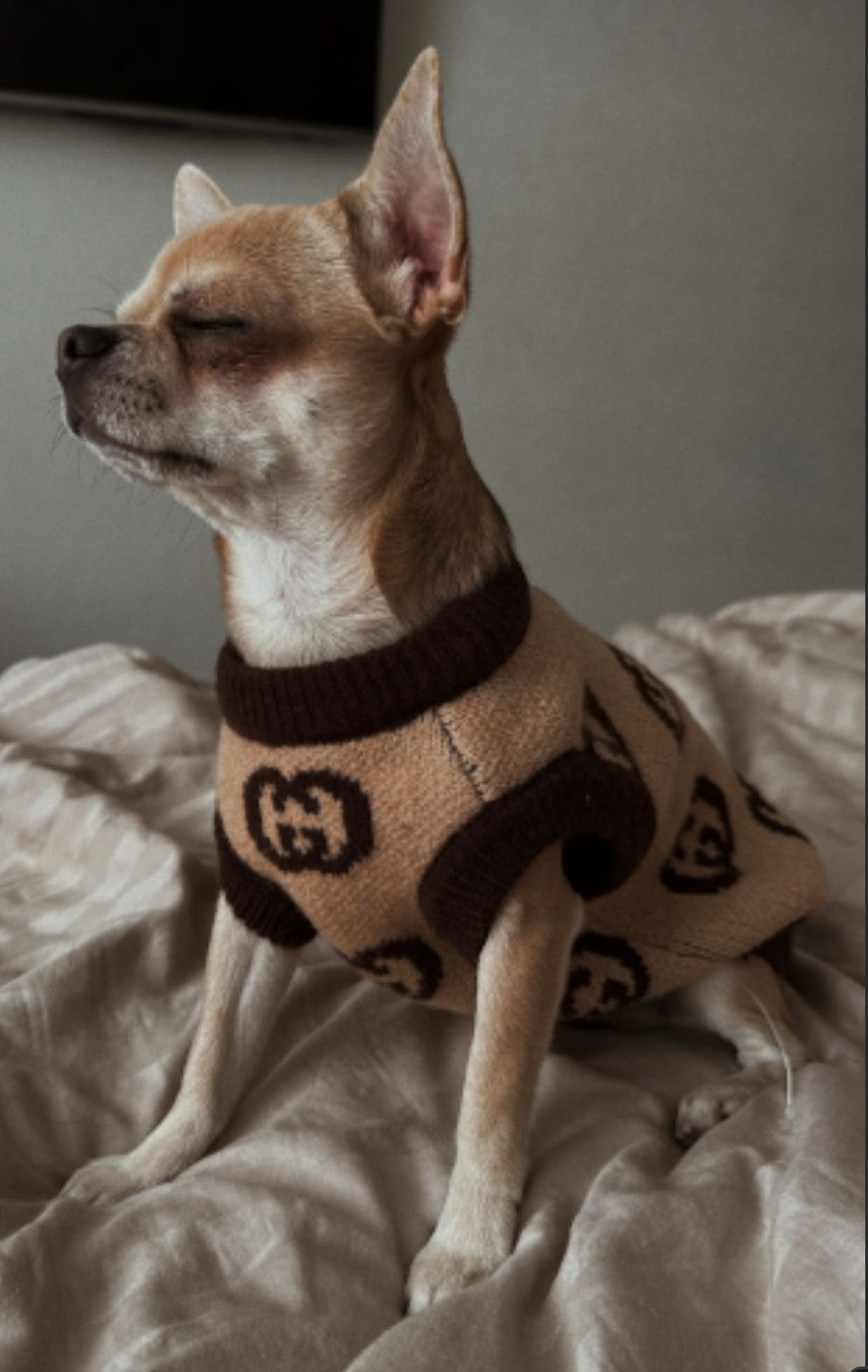 Beige-brown sleeveless sweater with Gucci print