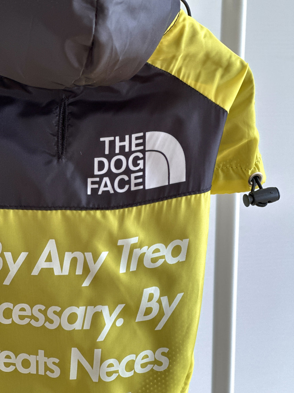 Yellow raincoat with The Dog Face print