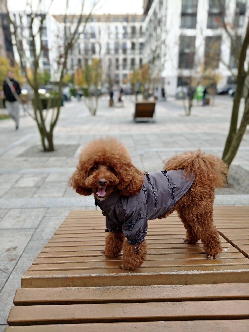 Куртка сірого кольору Fear of dog