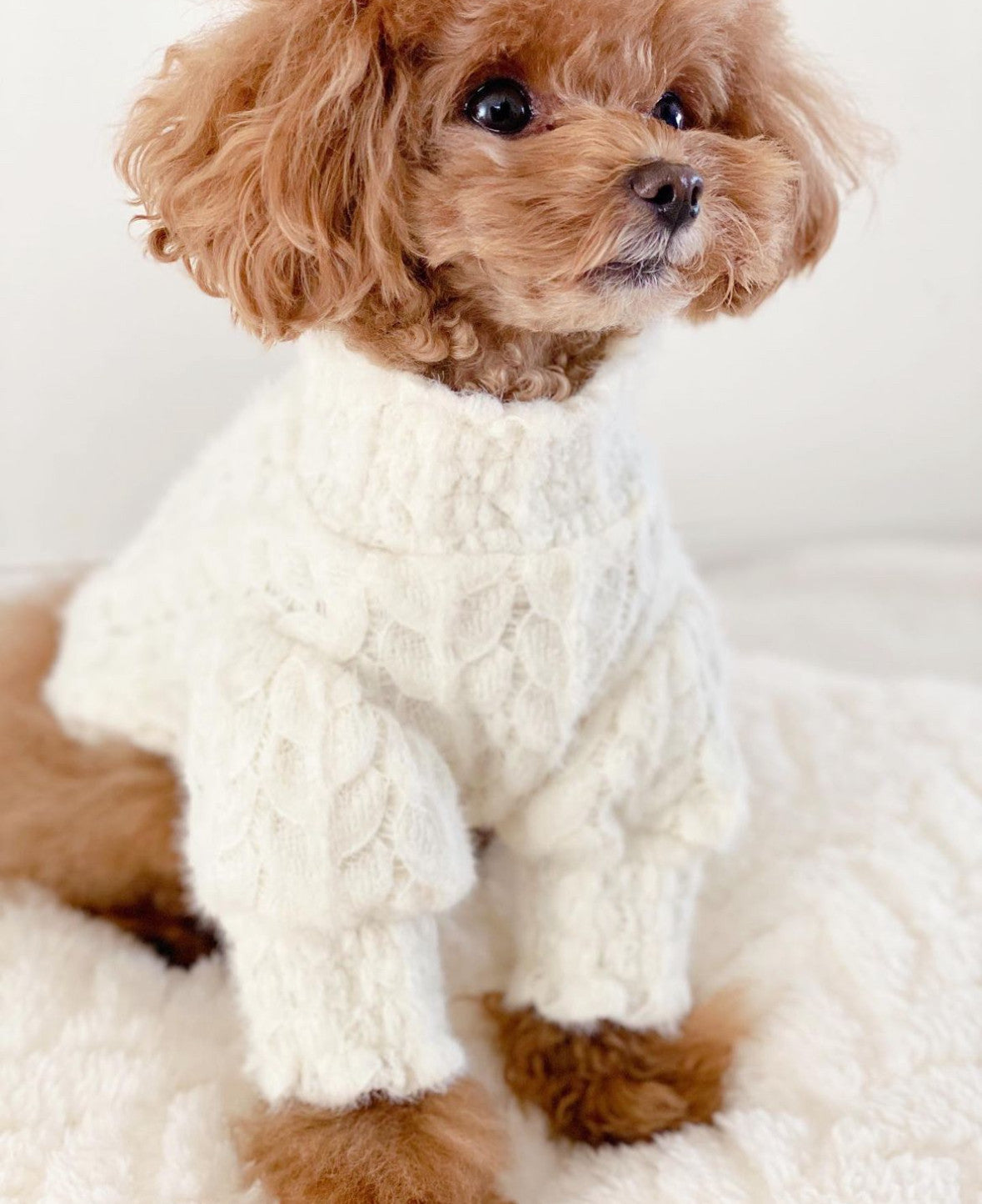 Светр молочного кольору Колосок