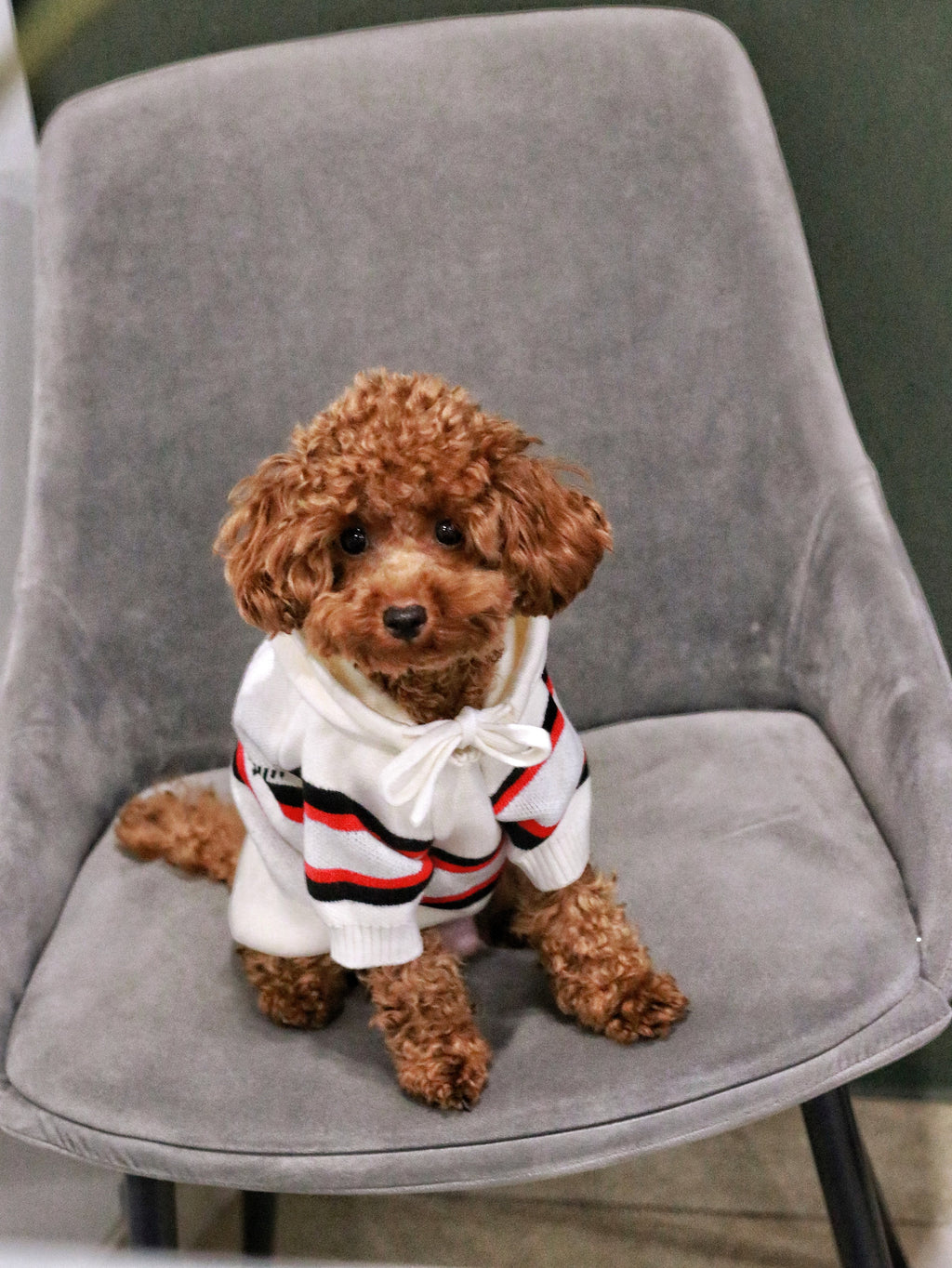 Худі білого кольору з принтом Dior