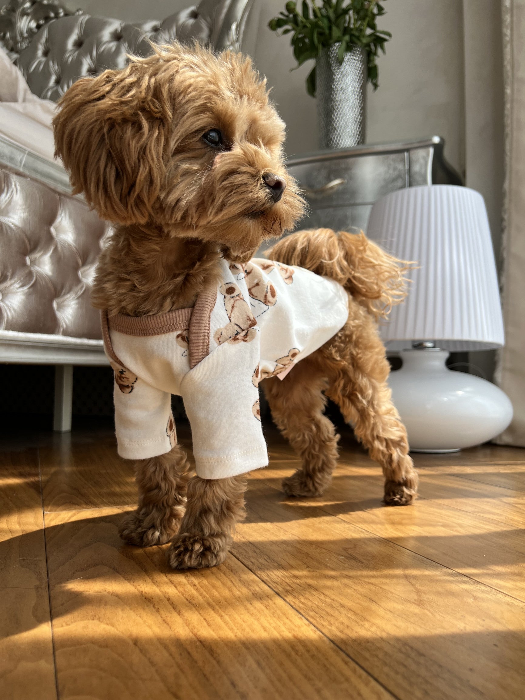 White T-shirt with Teddy print