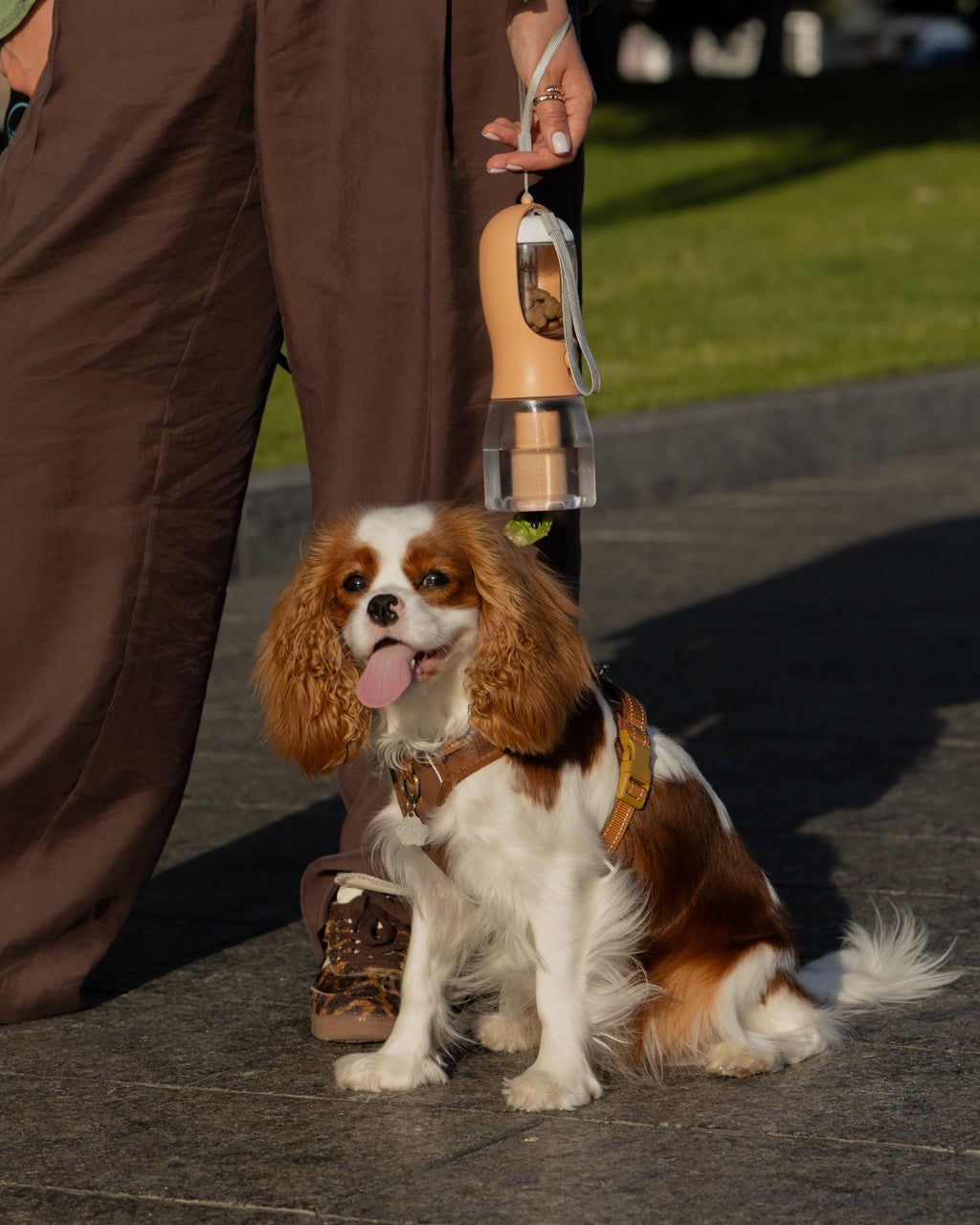 Поїлка 3в1 персикового кольору Peach Pup