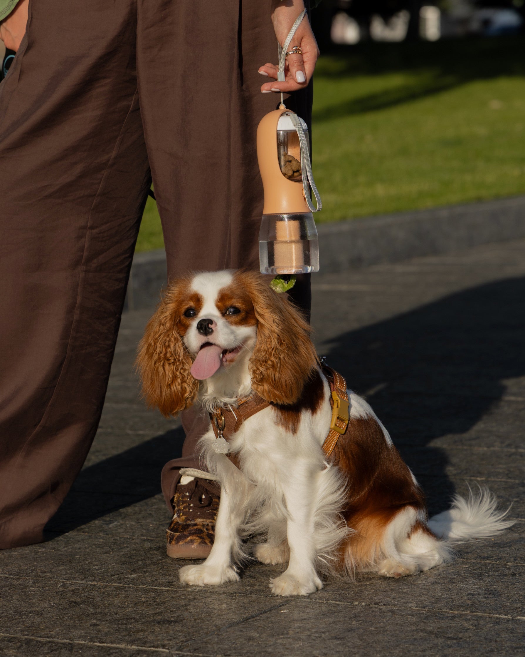 Поїлка 3в1 персикового кольору Peach Pup