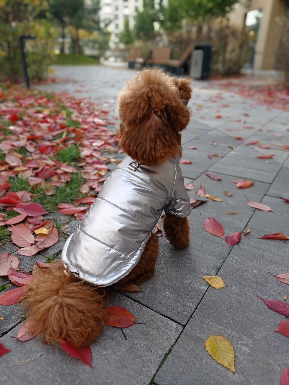 Куртка срібного кольору Basic